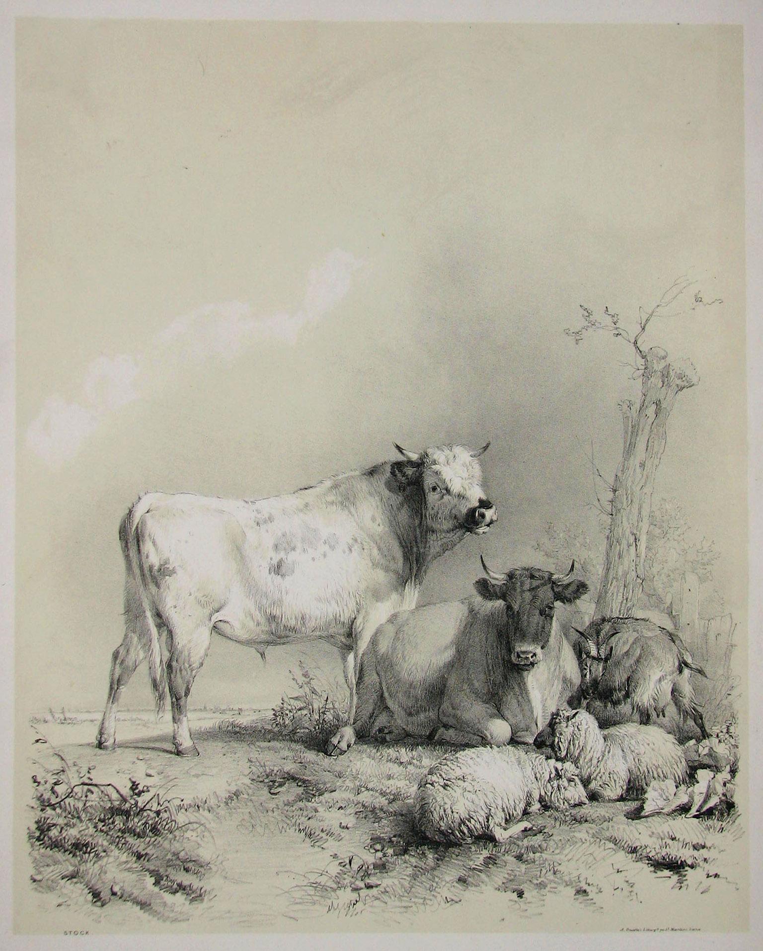 Thomas Sidney Cooper Animal Print - Stock, tinted lithograph of cattle and sheep, by Thomas Sydney Cooper