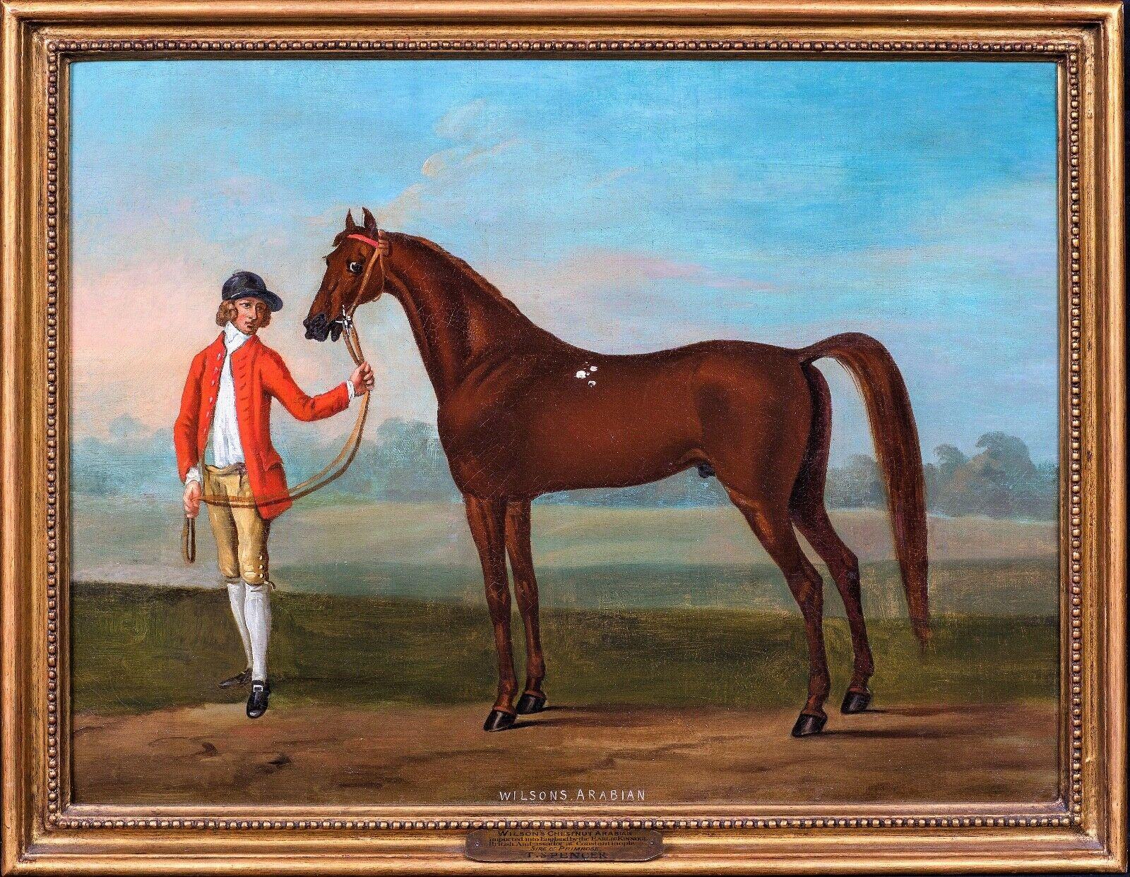 Thomas Spencer Portrait Painting - Portrait Of Wilson's Arabian & Groom, 18th Century