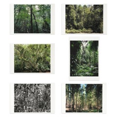 Paradies, Portfolio of 6 Photographs, Landscape Photography, Contemporary Art