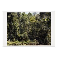 Thomas Struth, Xi Shuang Banna (von Paradies) – signierte Fotografie