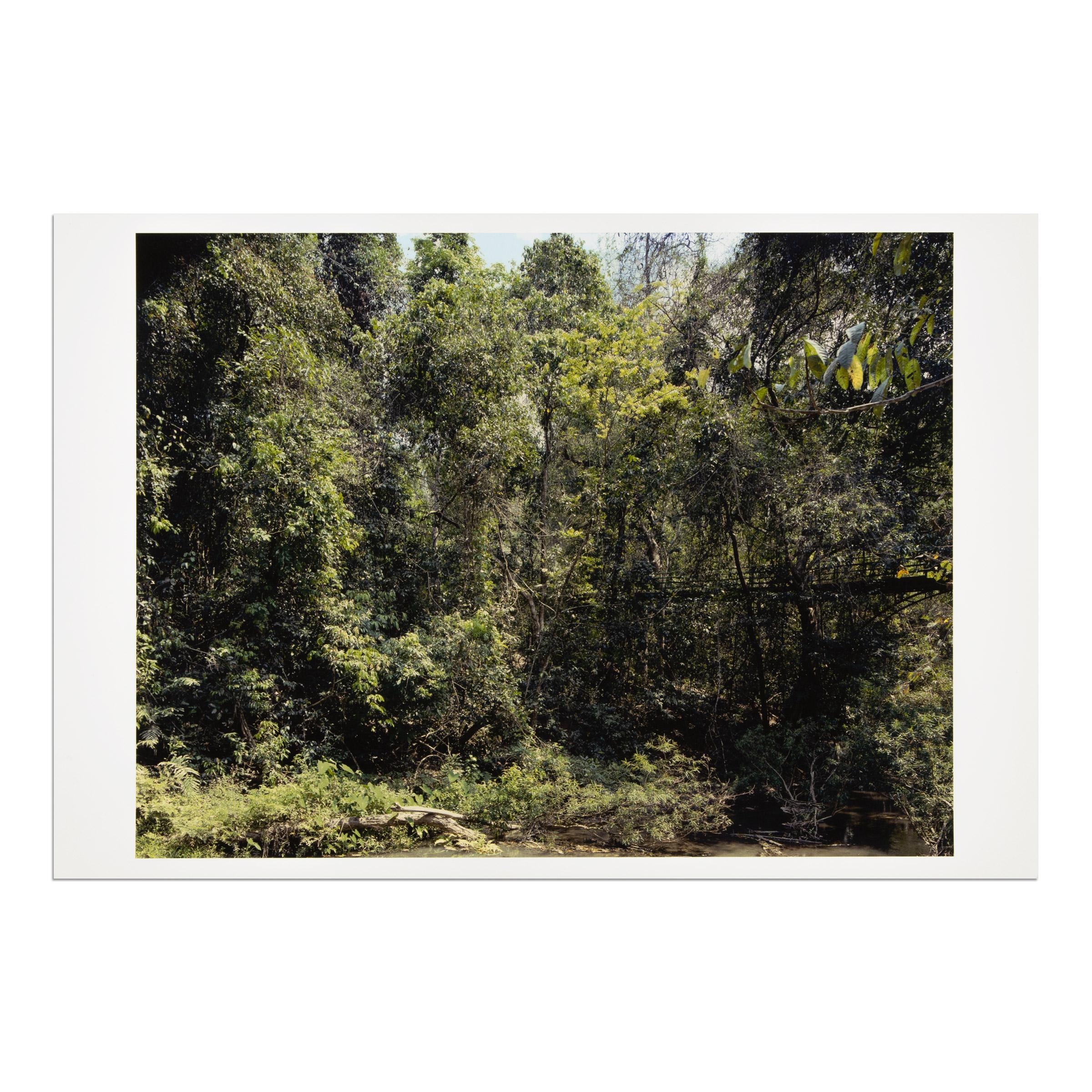 Thomas Struth (Deutscher, geb. 1954)
Xi Shuang Banna (aus Paradies), 2004
Medium: Pigmentierter Tintenstrahldruck
Abmessungen: 32,9 x 48,3 cm (13 x 19 Zoll)
Auflagenhöhe: nicht bekannt gegeben
Markierungen: Handsigniert und gestempelt, verso
