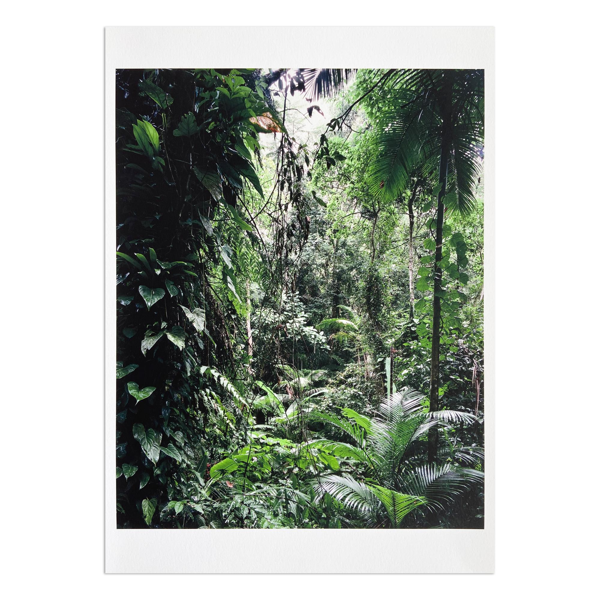 Abstract Print Thomas Struth - Sao Francisco de Xavier (d
après Paradies), Photographie de paysage, Art contemporain