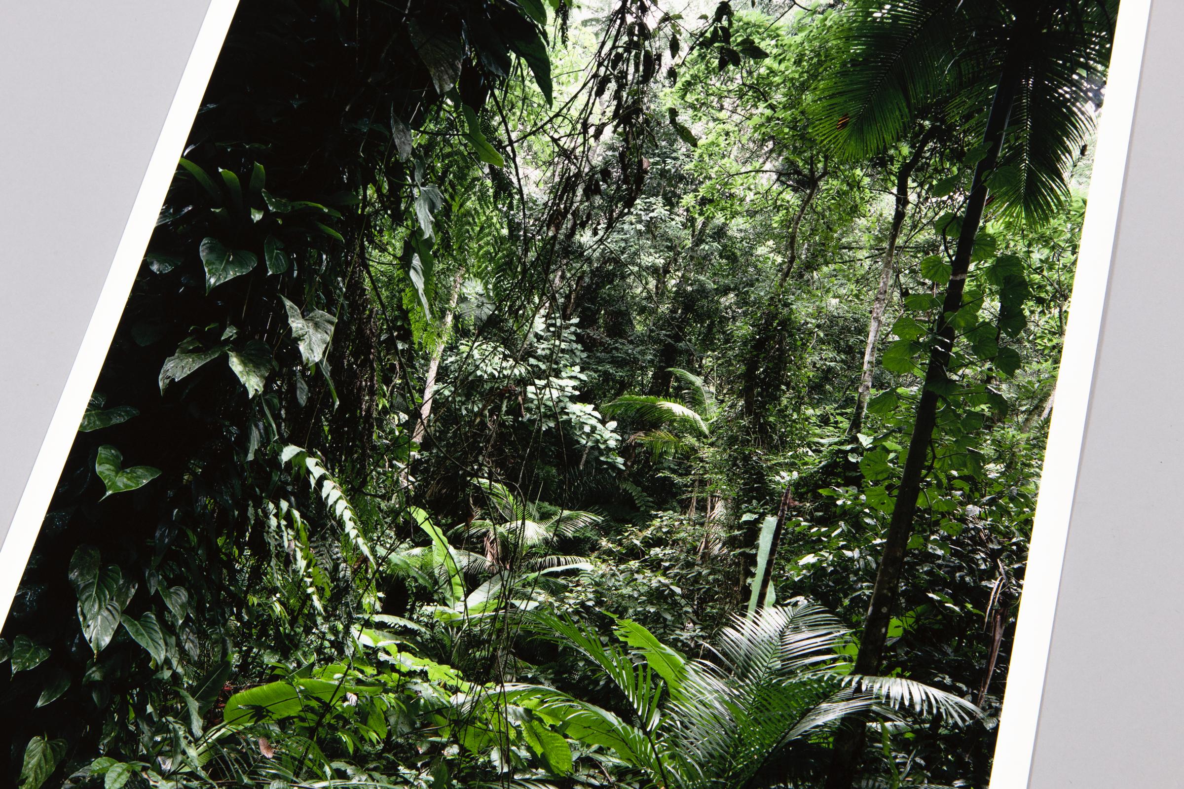 Thomas Struth, Sao Francisco de Xavier (da Paradies): Fotografia, Stampa firmata in vendita 1