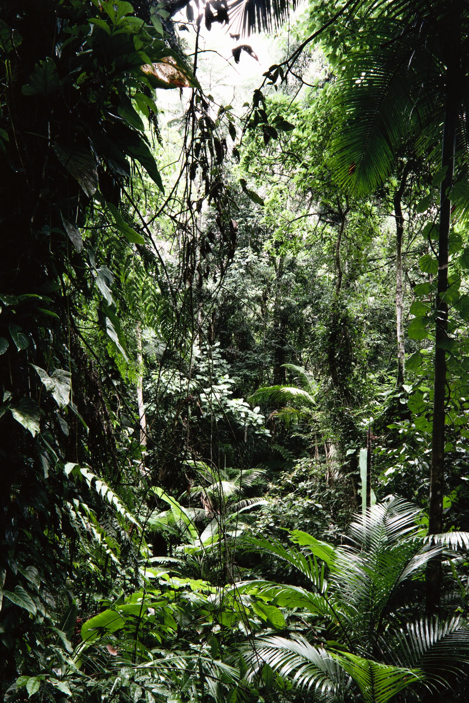 Thomas Struth, Sao Francisco de Xavier (da Paradies): Fotografia, Stampa firmata in vendita 3