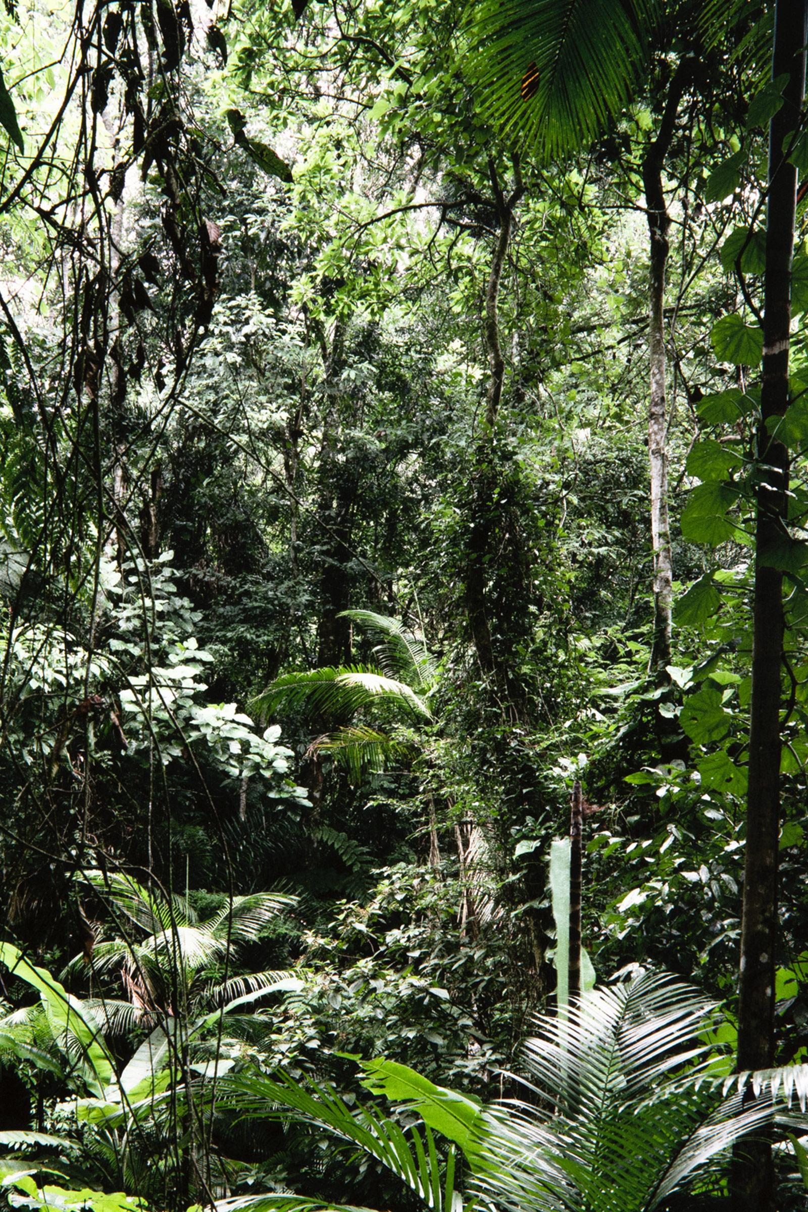 Thomas Struth, Sao Francisco de Xavier (da Paradies): Fotografia, Stampa firmata in vendita 5