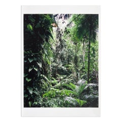 Thomas Struth, Sao Francisco de Xavier (da Paradies): Fotografia, Stampa firmata