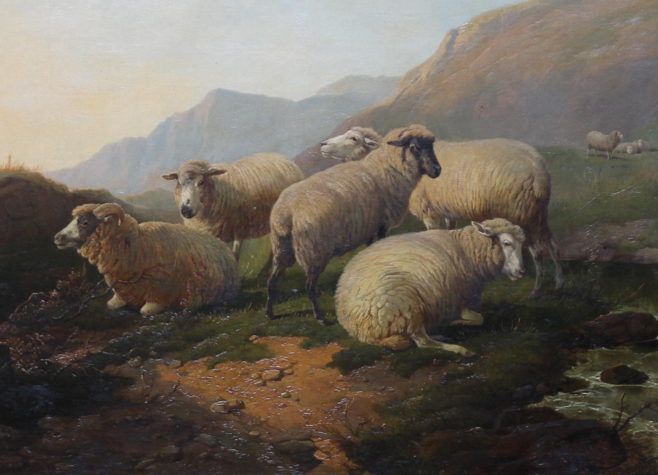 old sheep painting