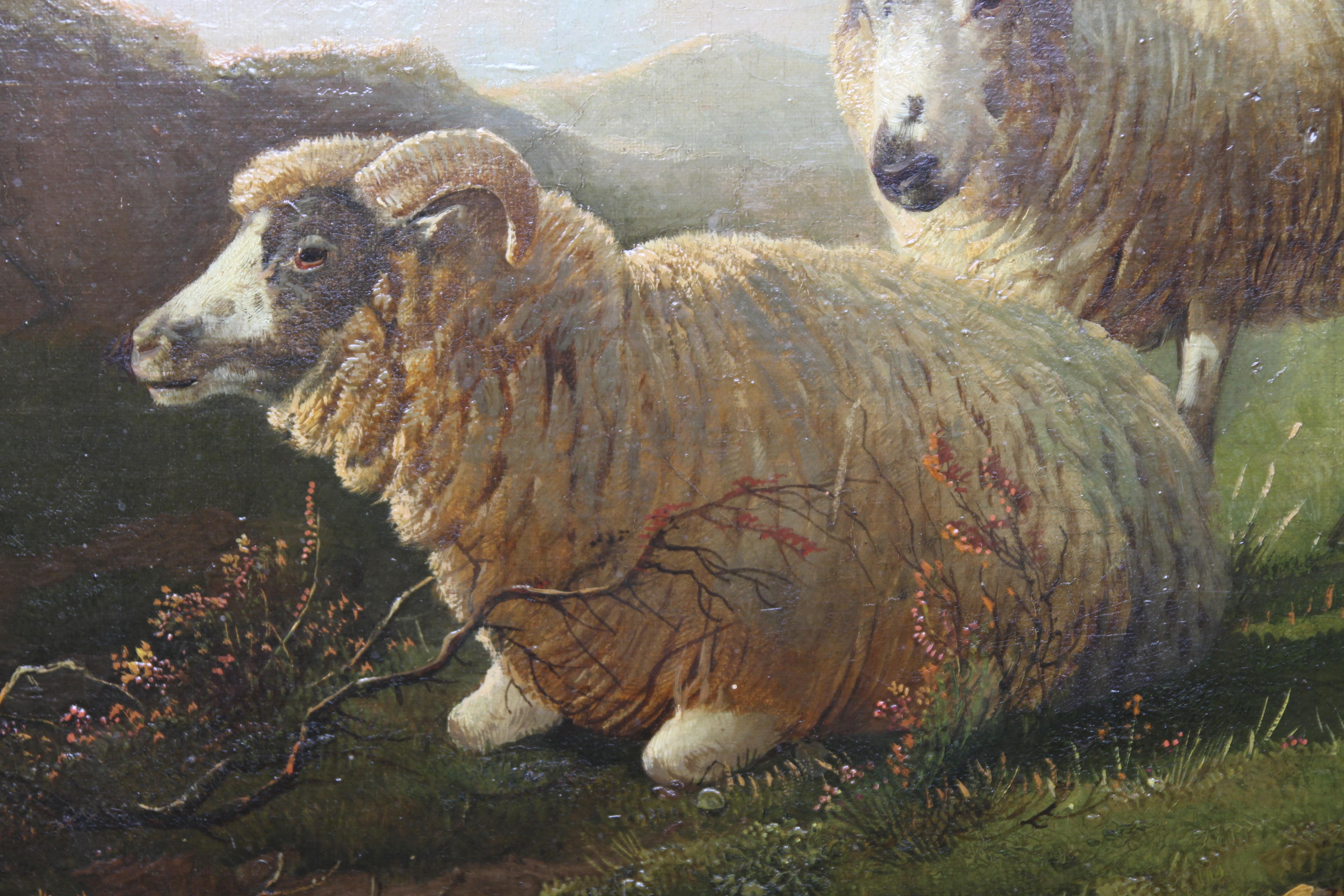 
A fine large oil on canvas by noted British Old Master landscape and animal artsit Thomas Sidney Cooper RA. A stunning panoramic view with sheep resting, it is a fine large example of his work. The sky is sublime with a mountain range in the
