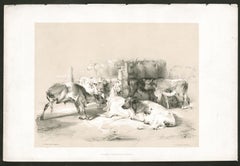 At Smithfield Market, tinted lithograph of cattle, by Thomas Sydney Cooper, 1837