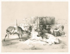En el mercado de Smithfield, litografía tintada de ganado, por Thomas Sydney Cooper, 1837