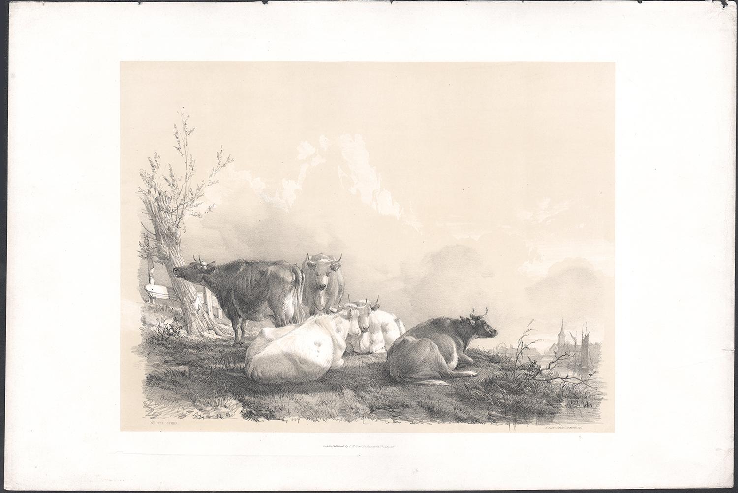 On the Stour, tinted lithograph of cattle, by Thomas Sydney Cooper, 1837 - Print by Thomas Sidney Cooper
