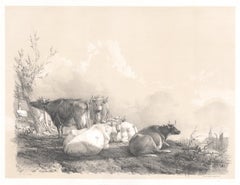 On the Stour, getönte Lithographie von Rindern, von Thomas Sydney Cooper, 1837