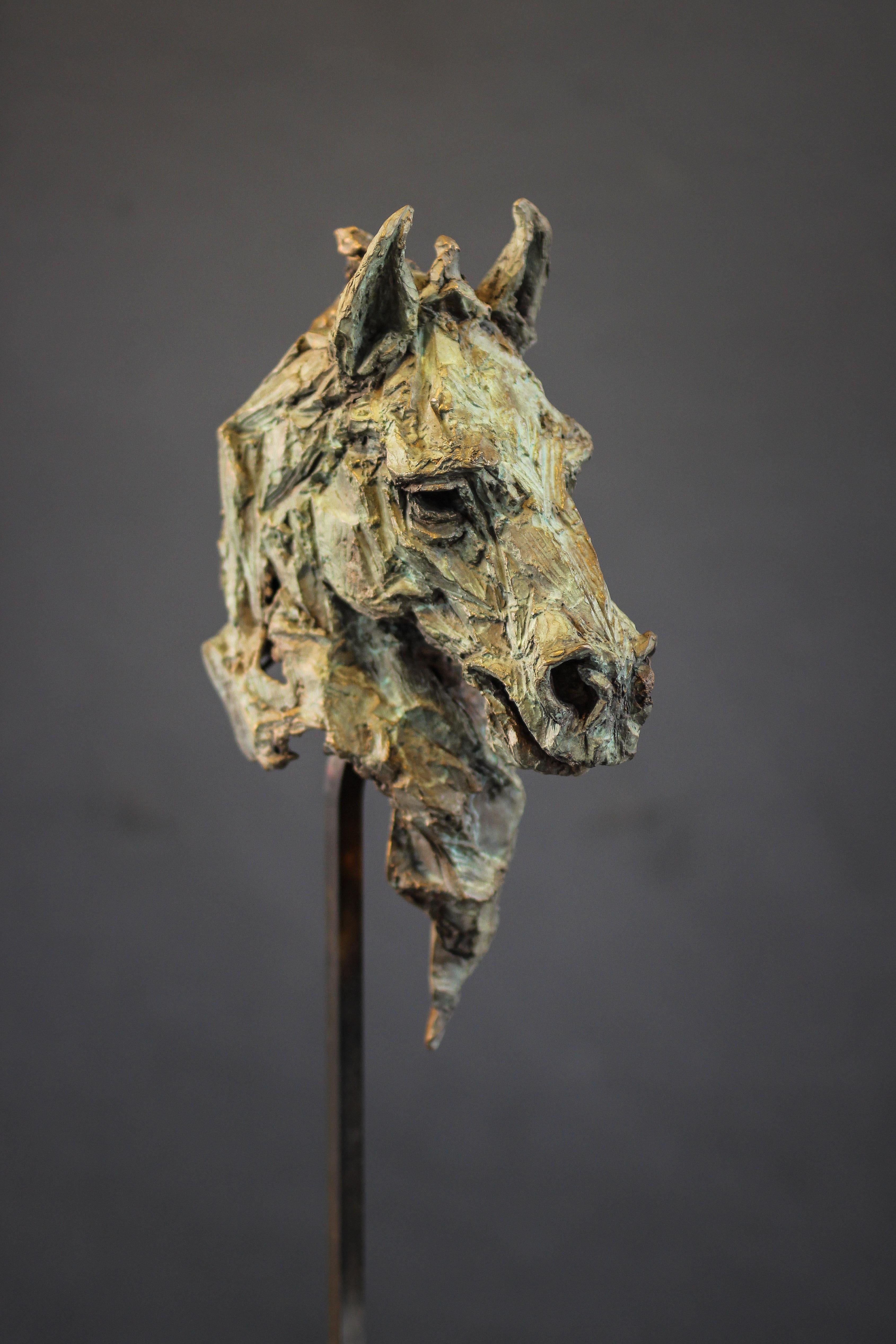 Raksh le cheval indomptable - Pferd Bronzeskulptur (Zeitgenössisch), Sculpture, von Thomas Waroquier