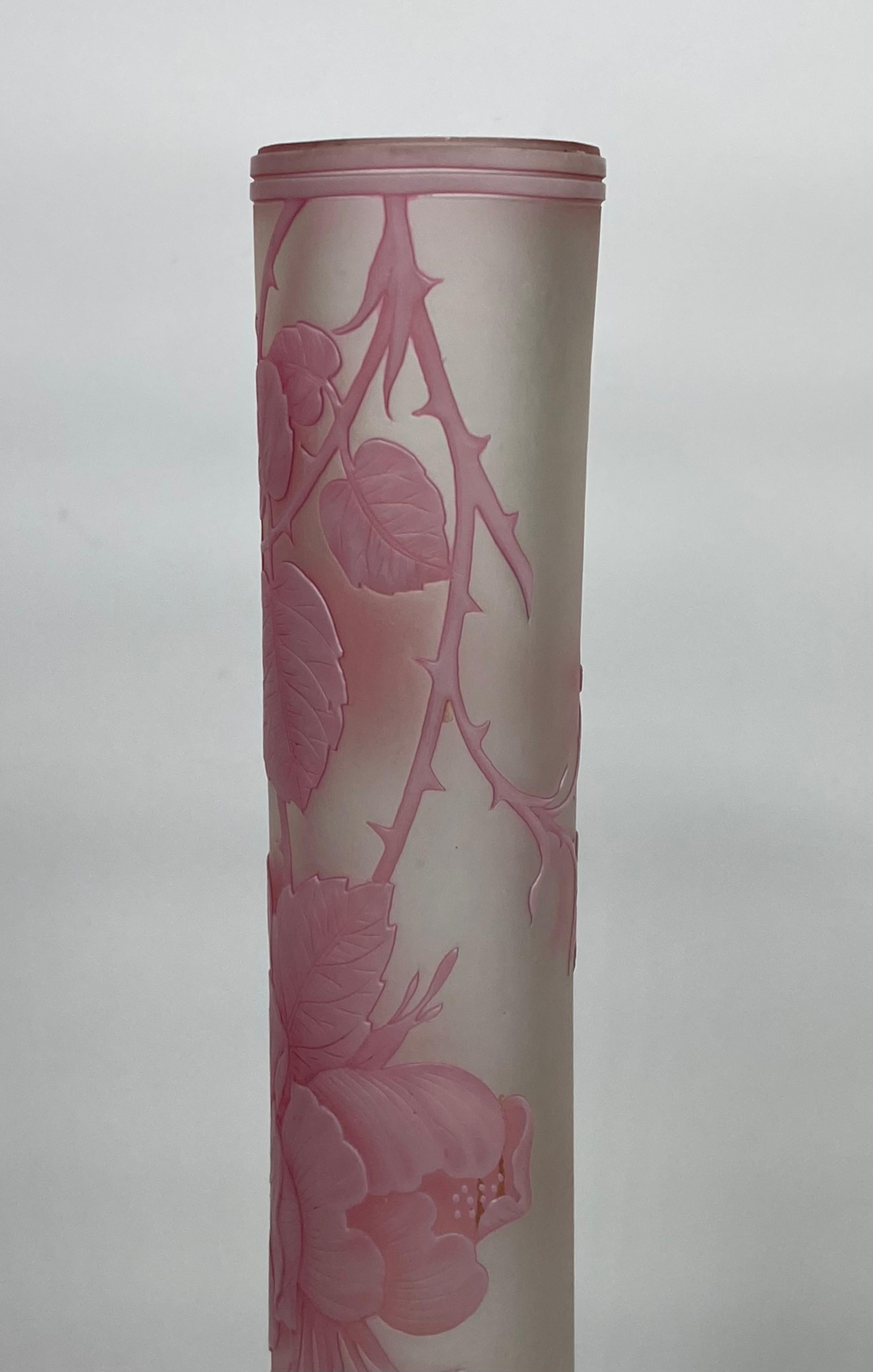Thomas Webb & Sons Cameo Glass Vase, Briar Rose, C. 1880 2