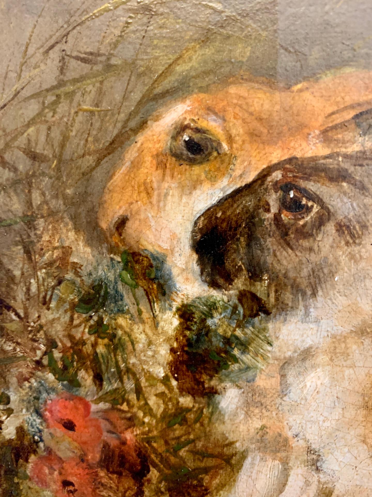 19th century English Antique oil portrait of two Rabbits in an interior

 Earl was the brother of George Earl and the uncle of Maud Earl and Percy Earl. He was a popular painter of dogs and exhibited often in London between 1836 and 1885 including