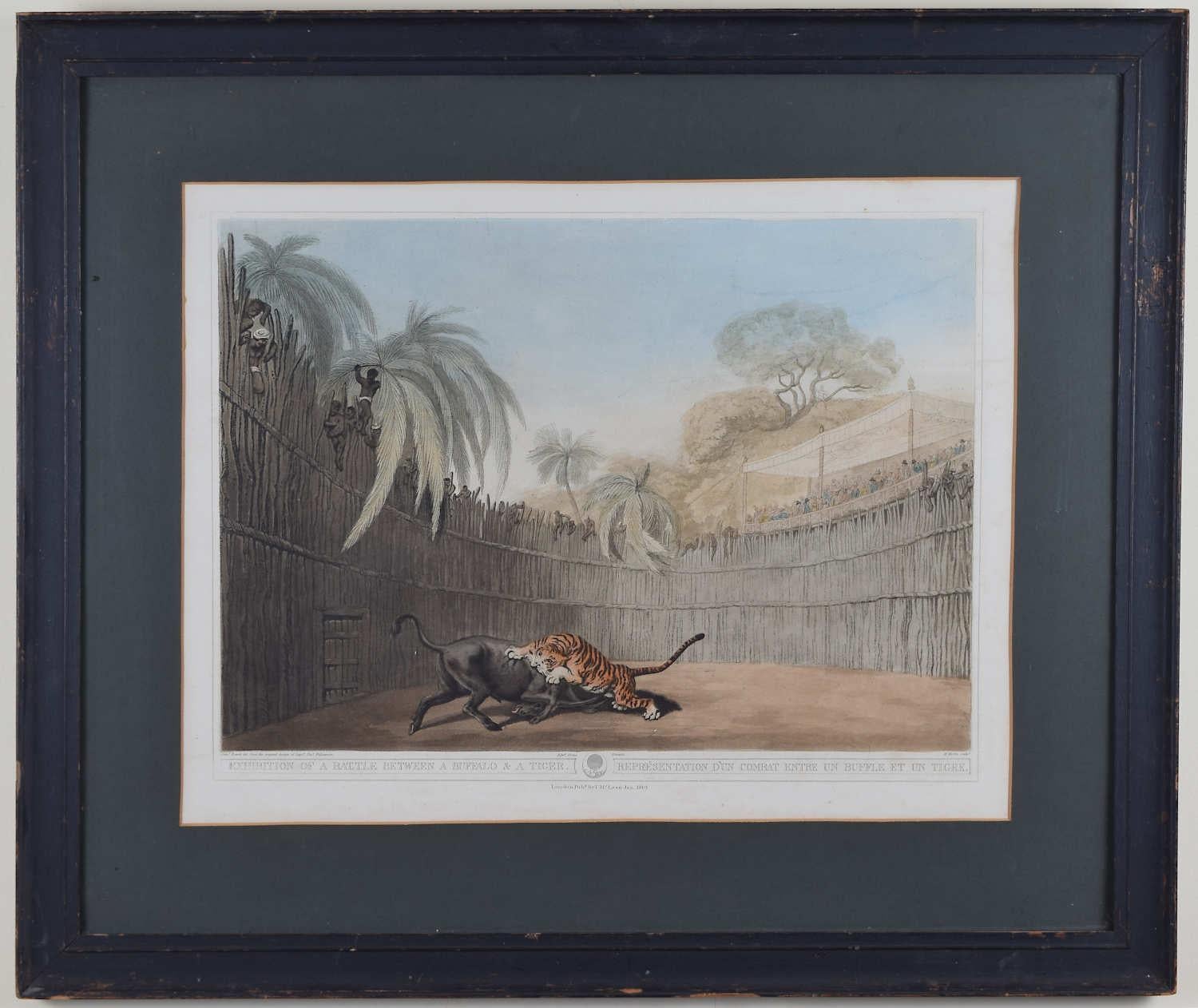 Samuel Howitt: 'Battle between Buffalo and Tiger' print after Thomas Williamson For Sale 1