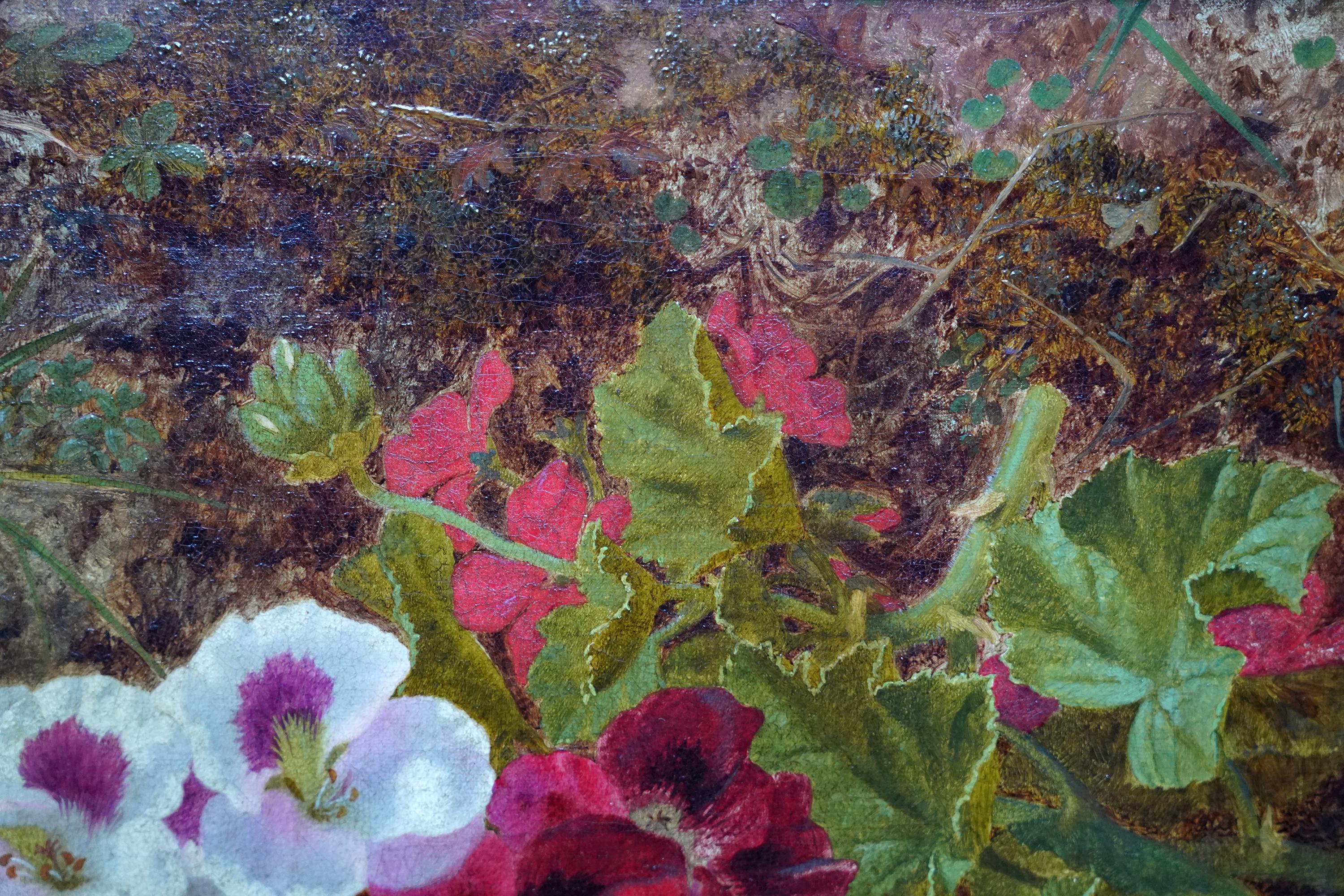 Geraniums on a Bank - British Victorian art floral still life oil painting 1