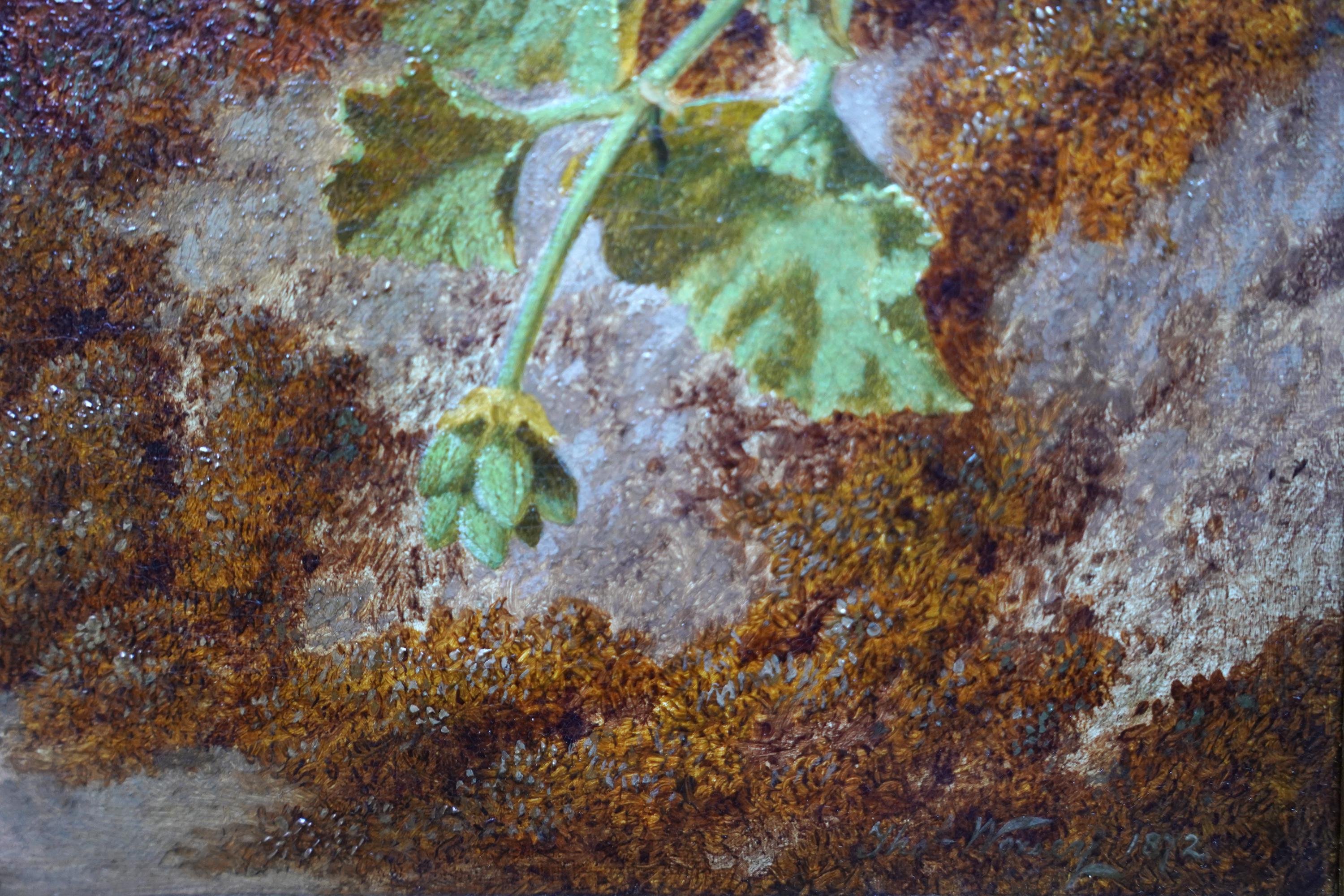 Geraniums on a Bank - British Victorian art floral still life oil painting 3