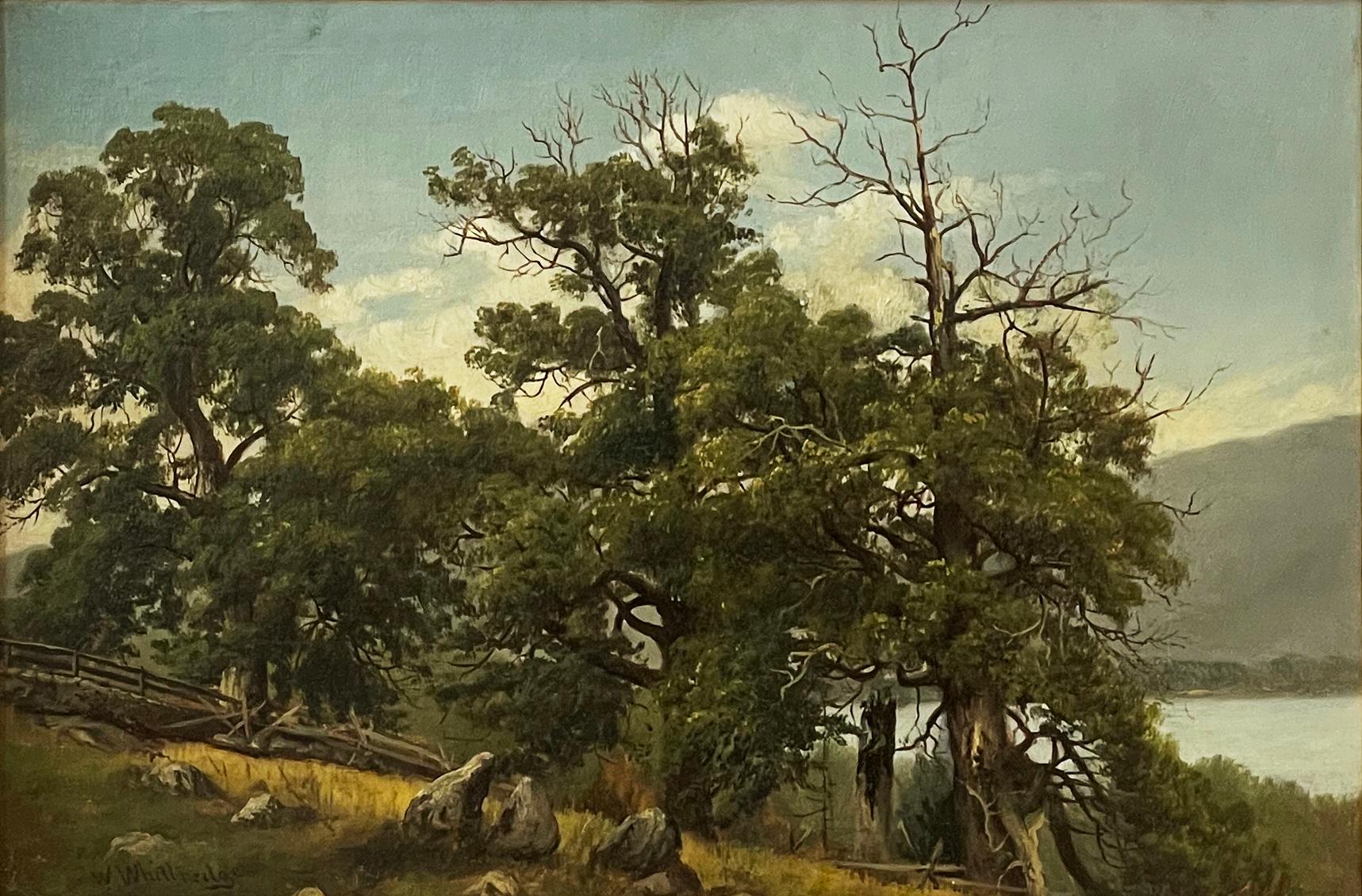 Étude sur les arbres, Lake George - Hudson River School Painting par Thomas Worthington Whittredge