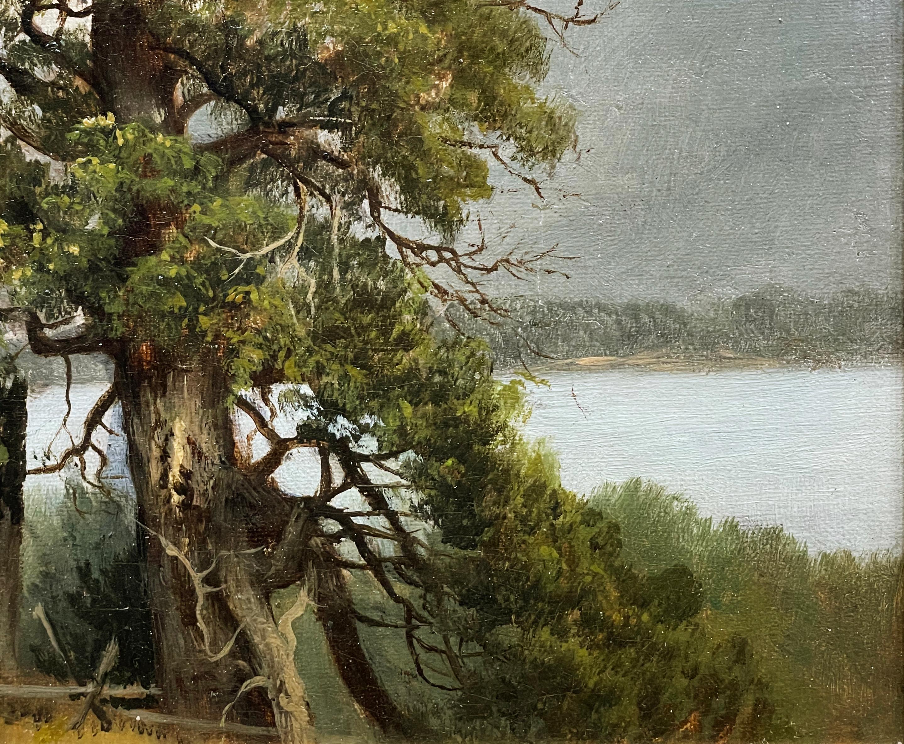 Une représentation remarquablement fraîche, naturaliste et rare des environs du lac George !
Elle date probablement de la fin des années 1860, après la guerre civile, lorsque son travail est devenu plus naturaliste. Dans cette œuvre, il se concentre