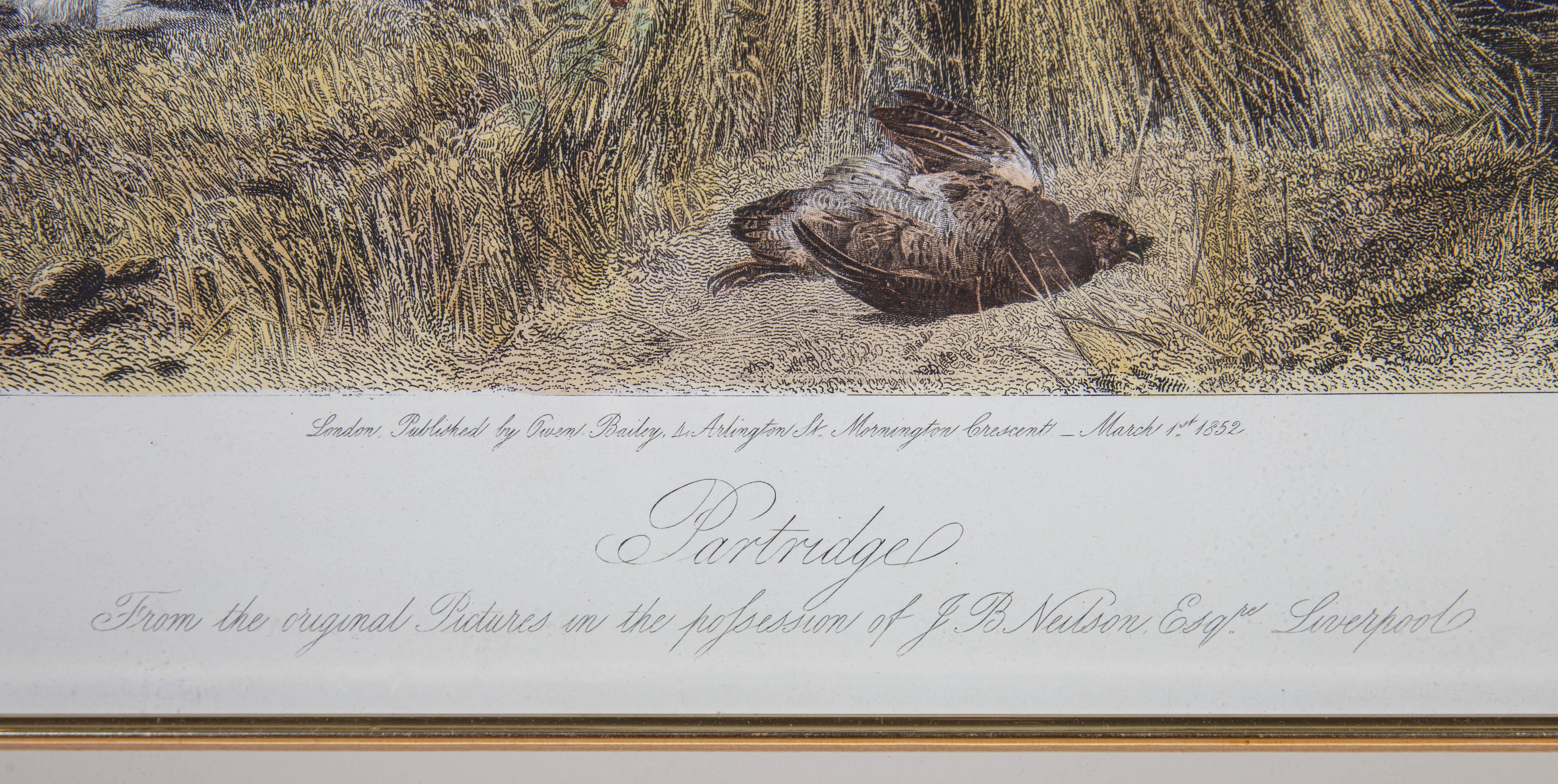 Thompson after Richard Ansdell - 1852 Engraving, Partridge For Sale 4