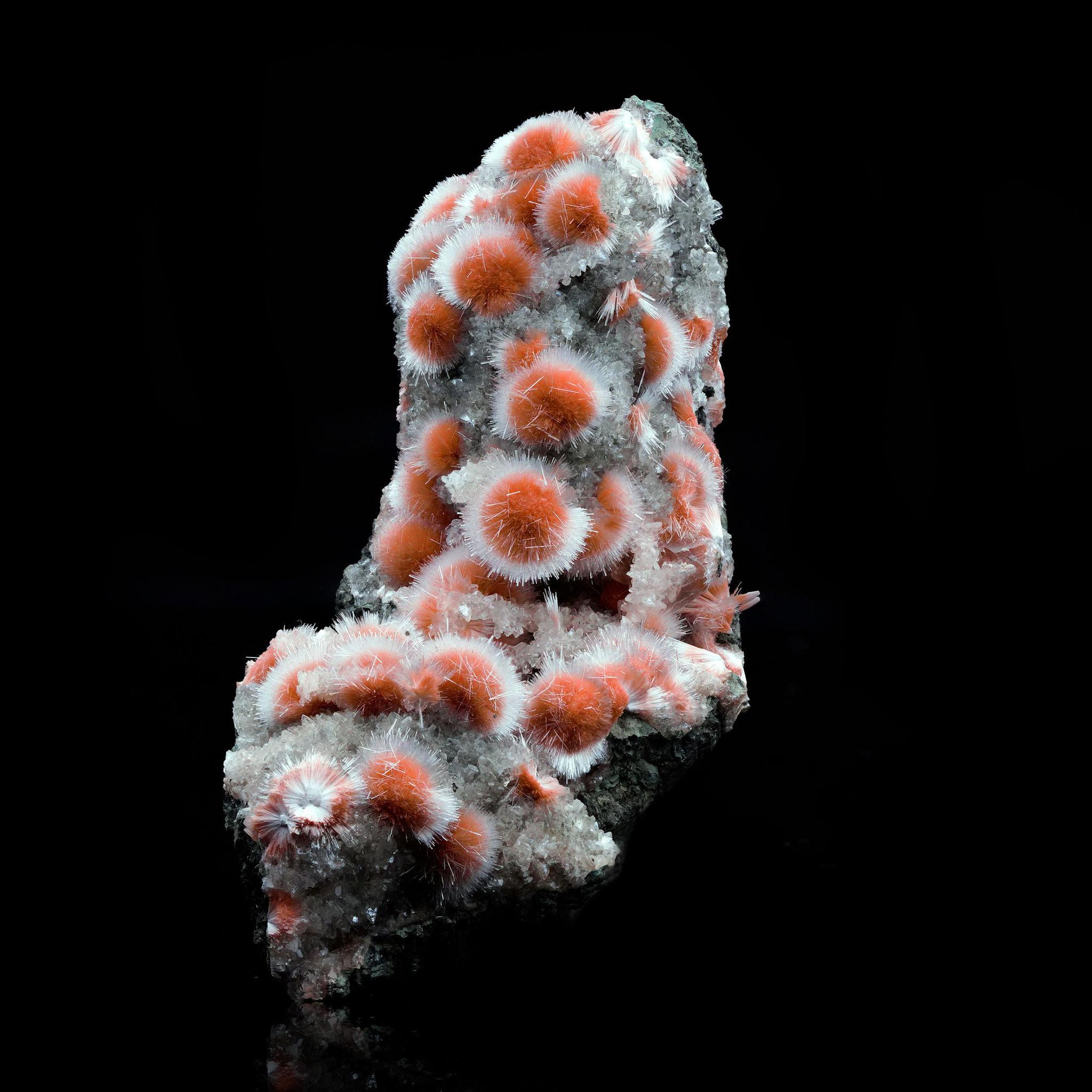 This rare Thomsonite specimen from India presents a striking natural arrangement of spherical orange radial sprays against a contrastingly dark matrix. The acicular crystals radiate outward in perfect symmetry, creating a bold, sculptural effect