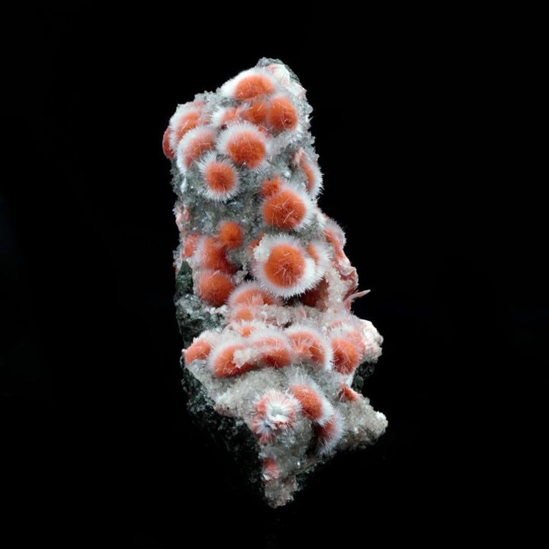 Indian Thomsonite From India For Sale
