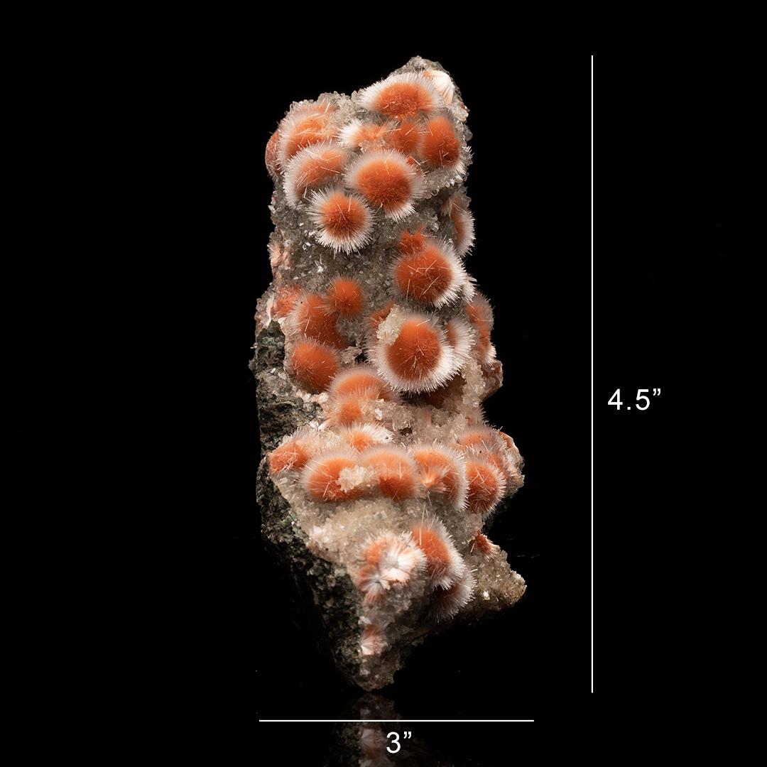 Thomsonite From India For Sale 2
