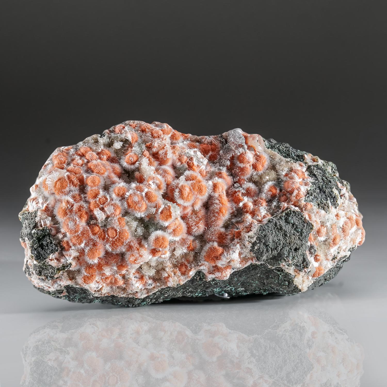 Thomsonite con mesolite da Soygaon, distretto di Aurangabad, Maharashtra, India In condizioni Nuovo in vendita a New York, NY