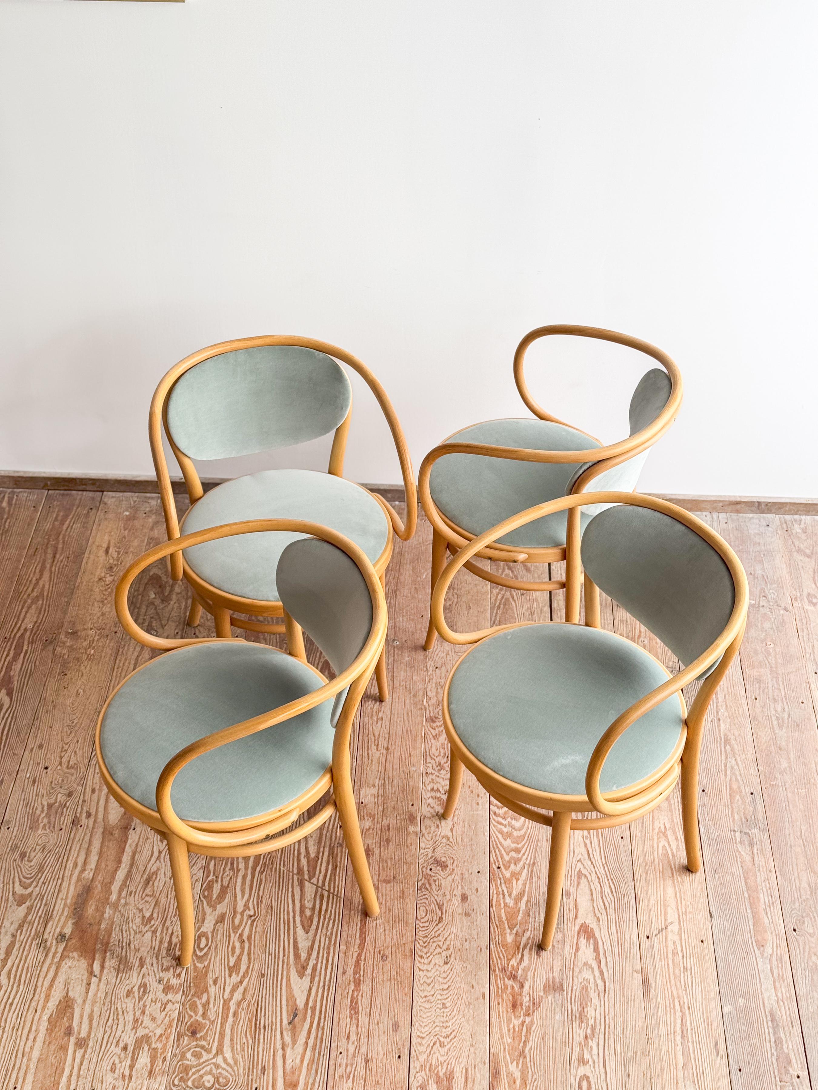 Thonet 210 P Bugholzsessel in Buche mit Samtbezug, Deutschland, 4er-Set im Angebot 2