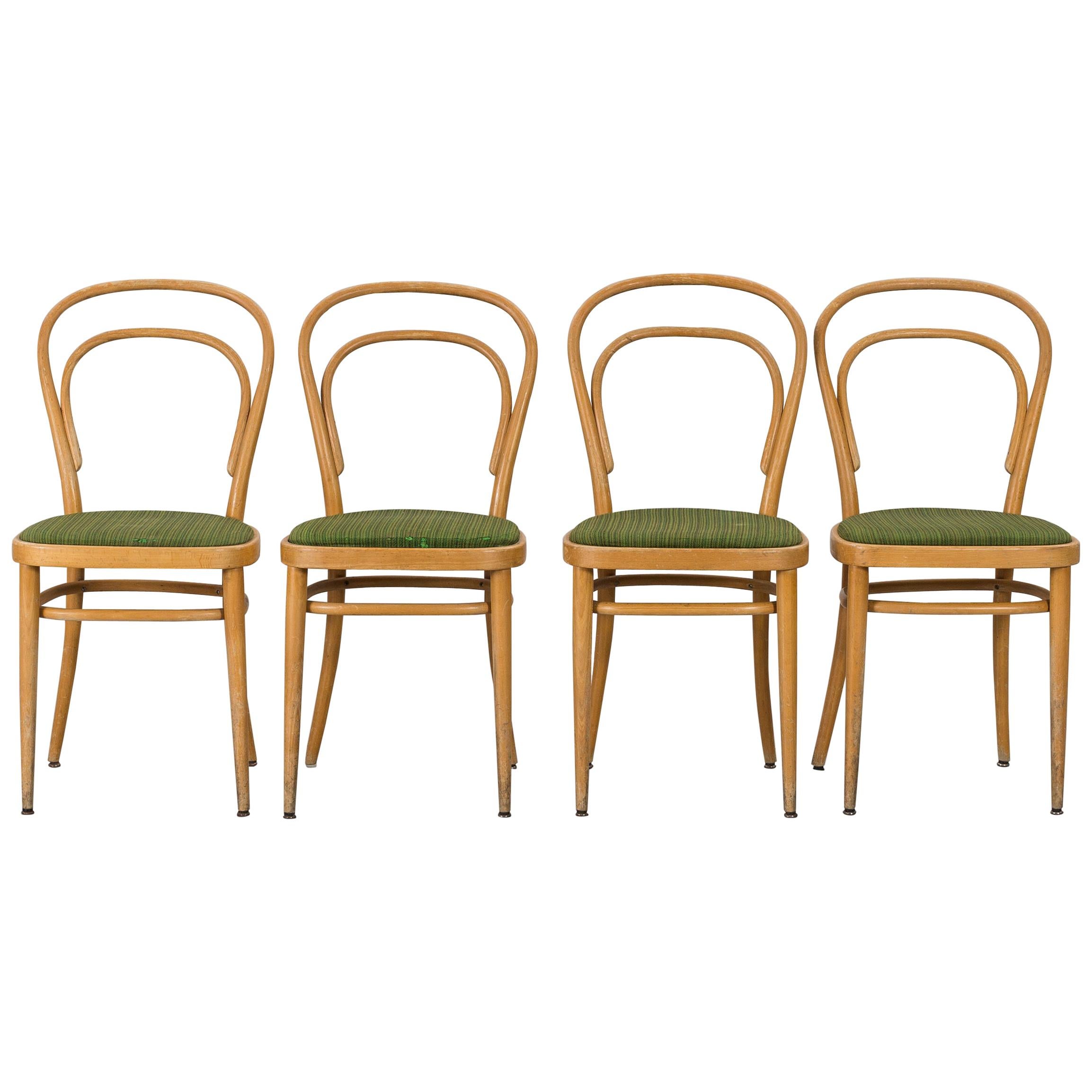 Thonet Bugholzstühle aus Buche:: Mitte des 20. Jahrhunderts:: 4er-Set