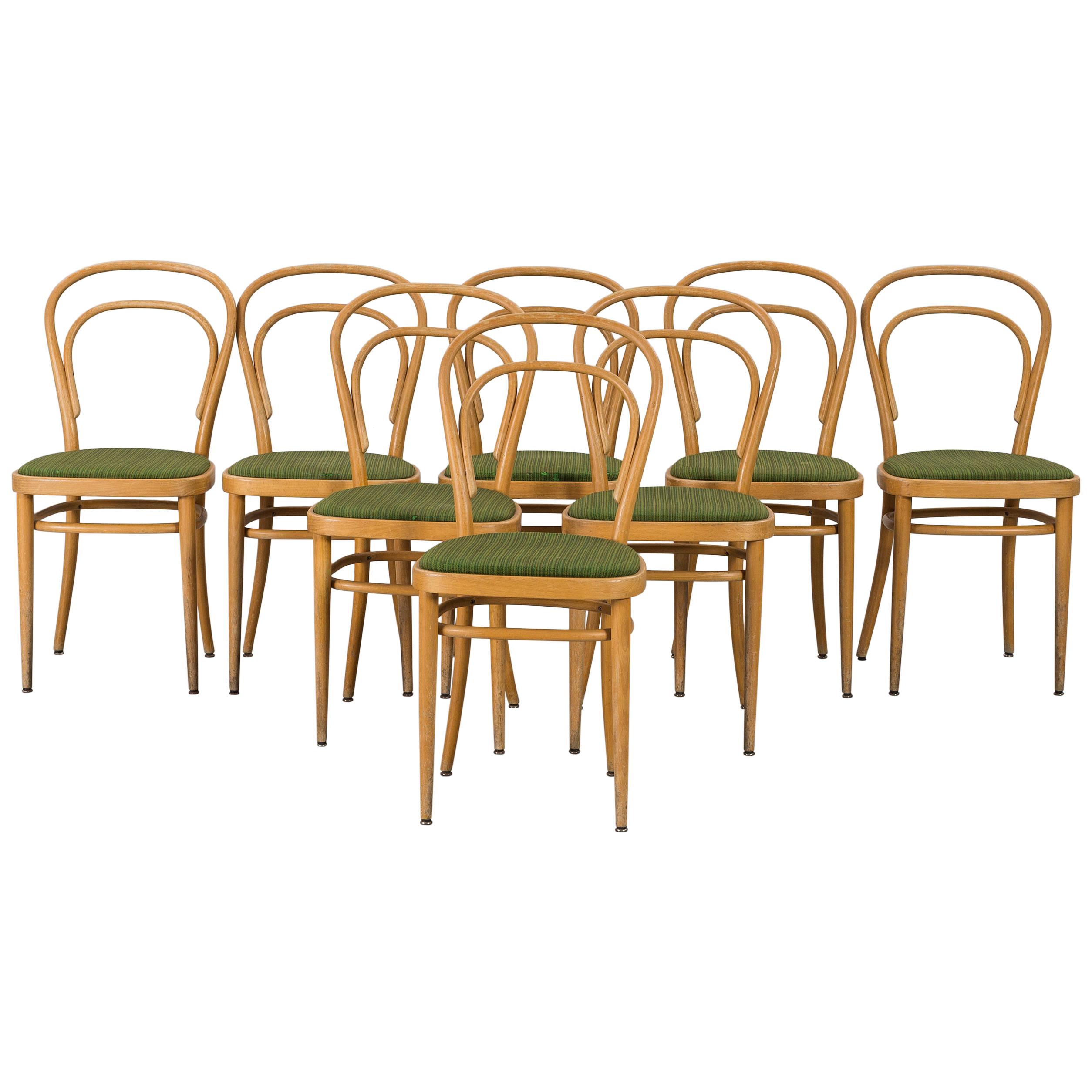 Thonet Beech Bentwood Chairs, Made in Mid-20th Century, Set of 8