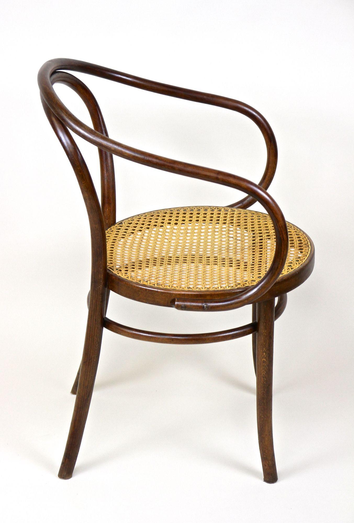 Thonet Bentwood Armchair Mod. No. 209 with Viennese Mesh, Austria circa 1900 1