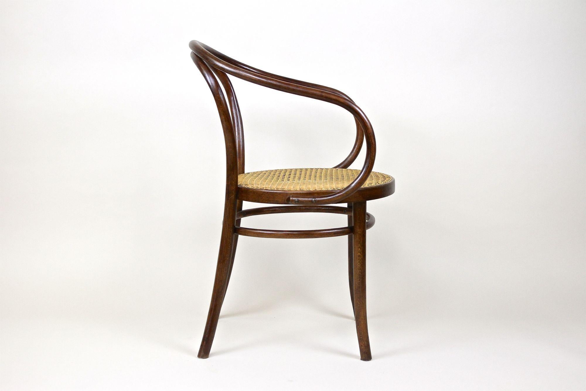 Thonet Bentwood Armchair Mod. No. 209 with Viennese Mesh, Austria circa 1900 2