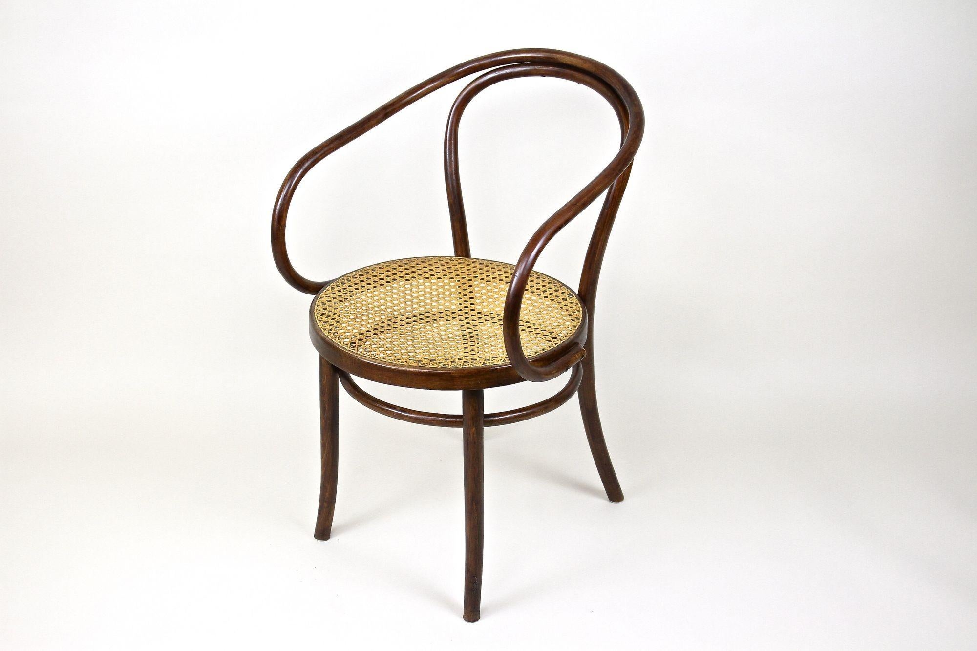 Thonet Bentwood Armchair Mod. No. 209 with Viennese Mesh, Austria circa 1900 3
