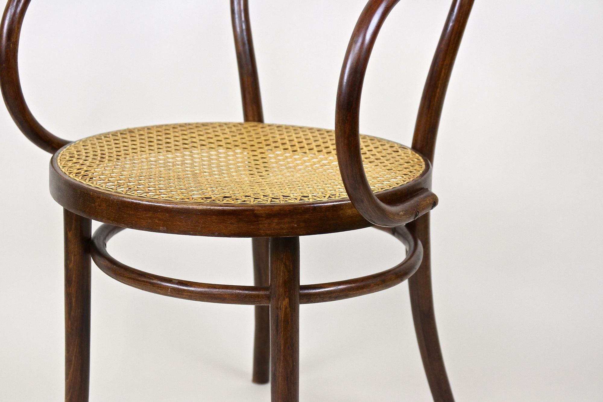 Thonet Bentwood Armchair Mod. No. 209 with Viennese Mesh, Austria circa 1900 4