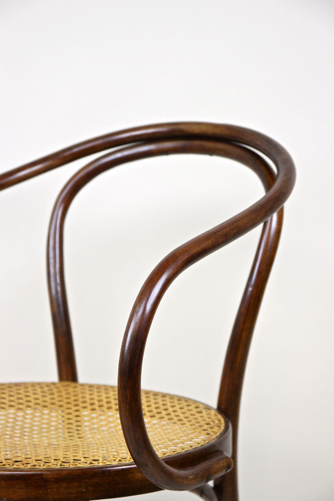Thonet Bentwood Armchair Mod. No. 209 with Viennese Mesh, Austria circa 1900 5