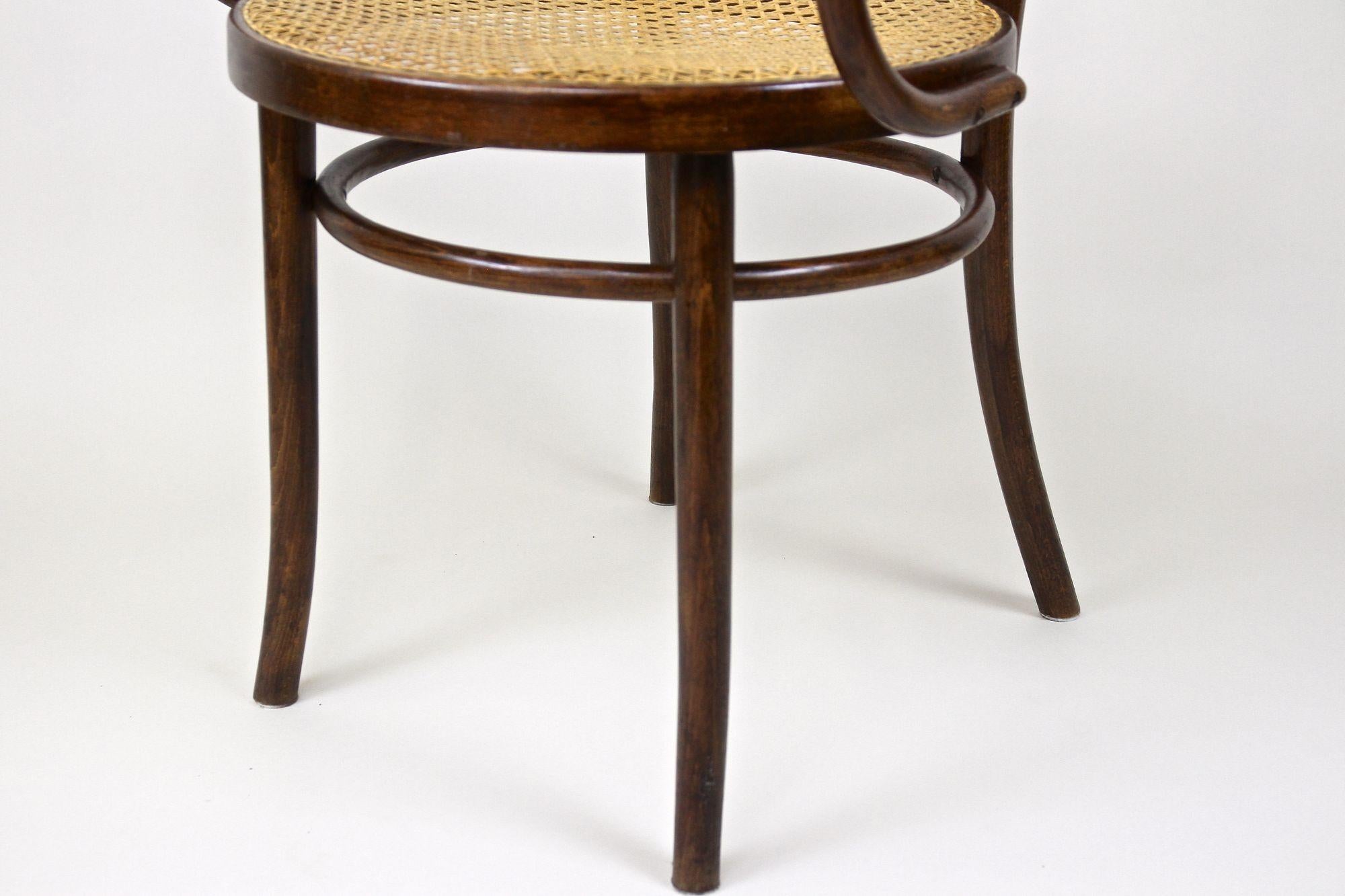 Thonet Bentwood Armchair Mod. No. 209 with Viennese Mesh, Austria circa 1900 6