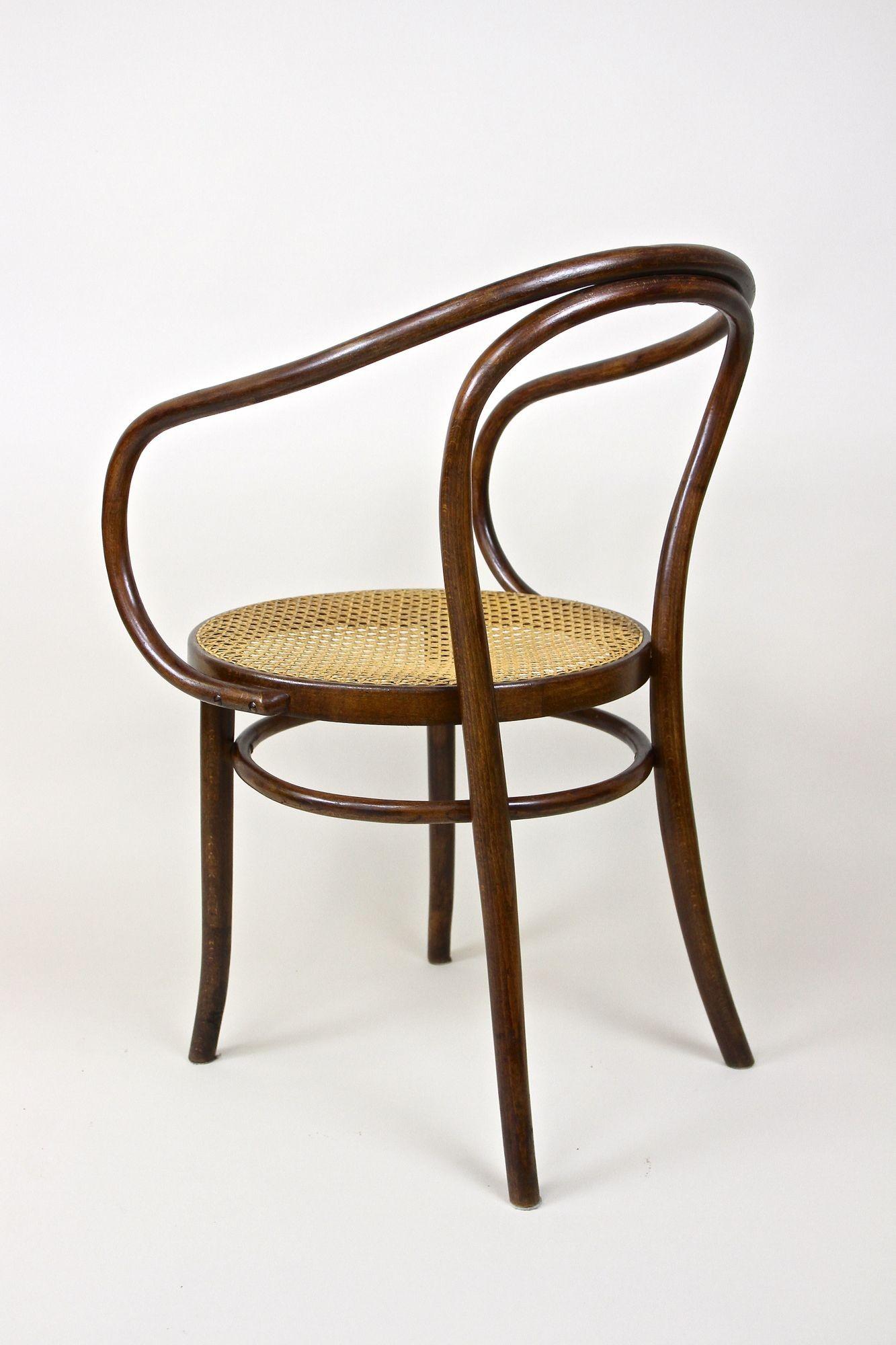 Thonet Bentwood Armchair Mod. No. 209 with Viennese Mesh, Austria circa 1900 8