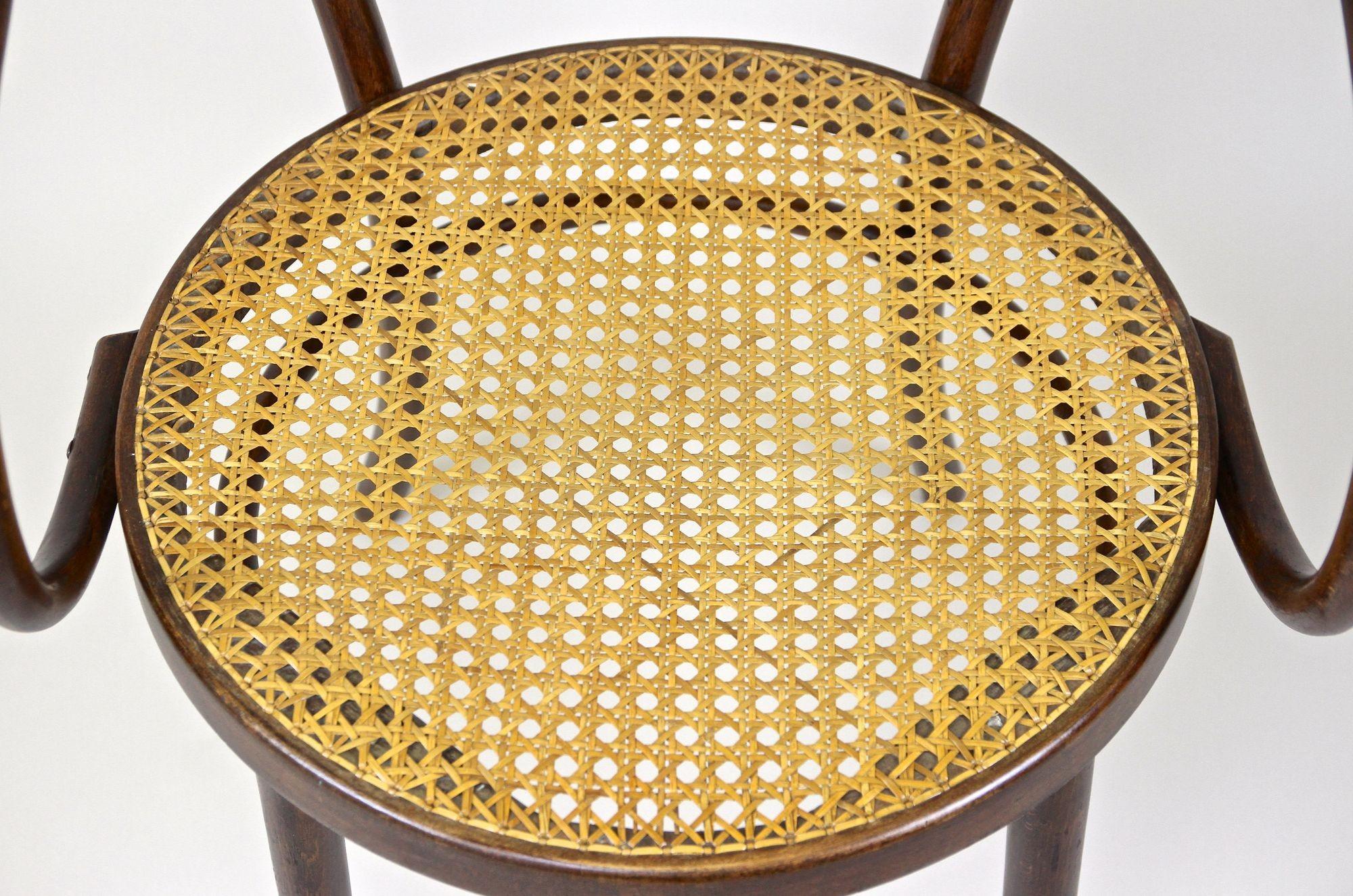 thonet bentwood chair