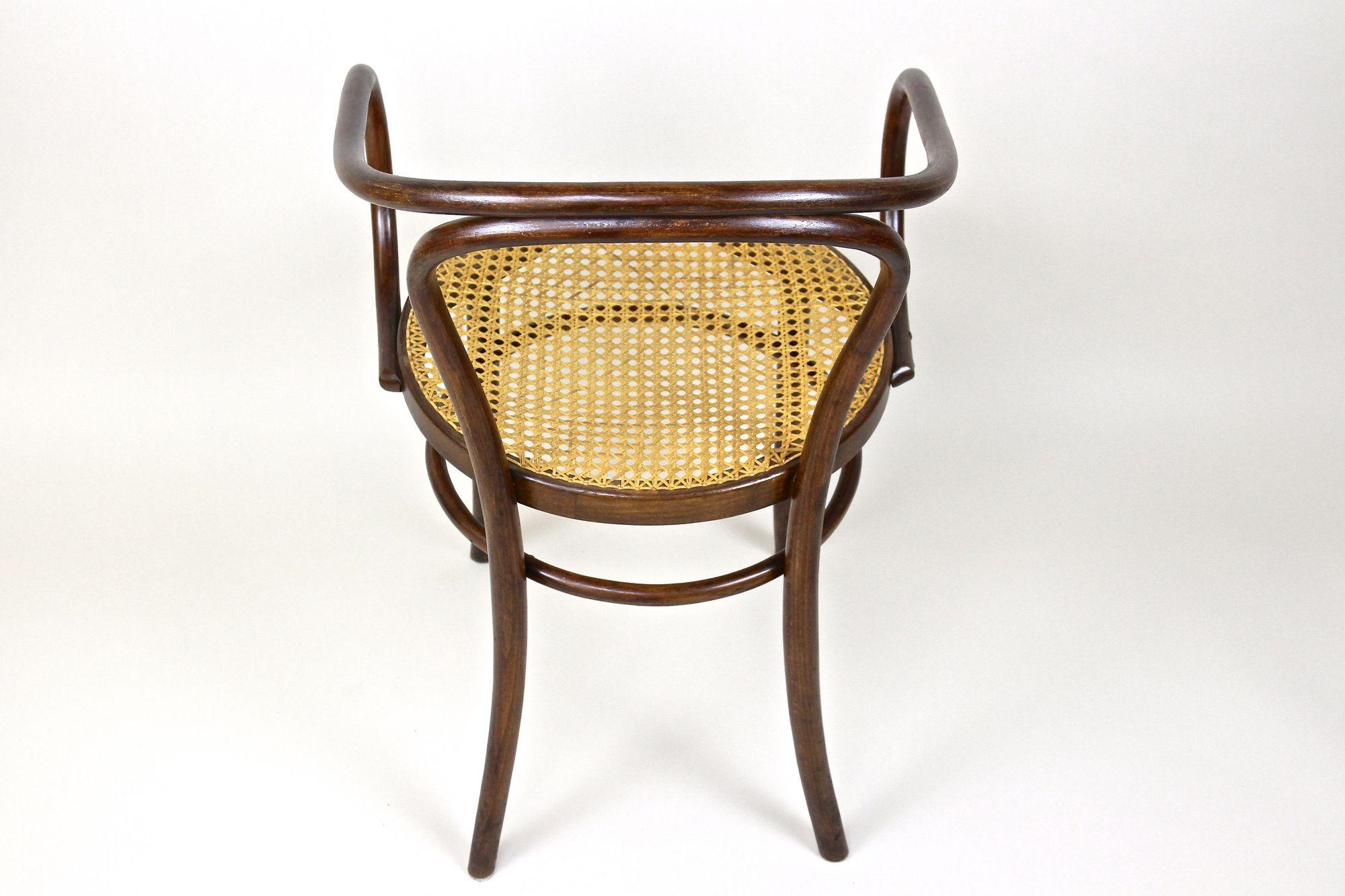 20th Century Thonet Bentwood Armchair Mod. No. 209 with Viennese Mesh, Austria circa 1900