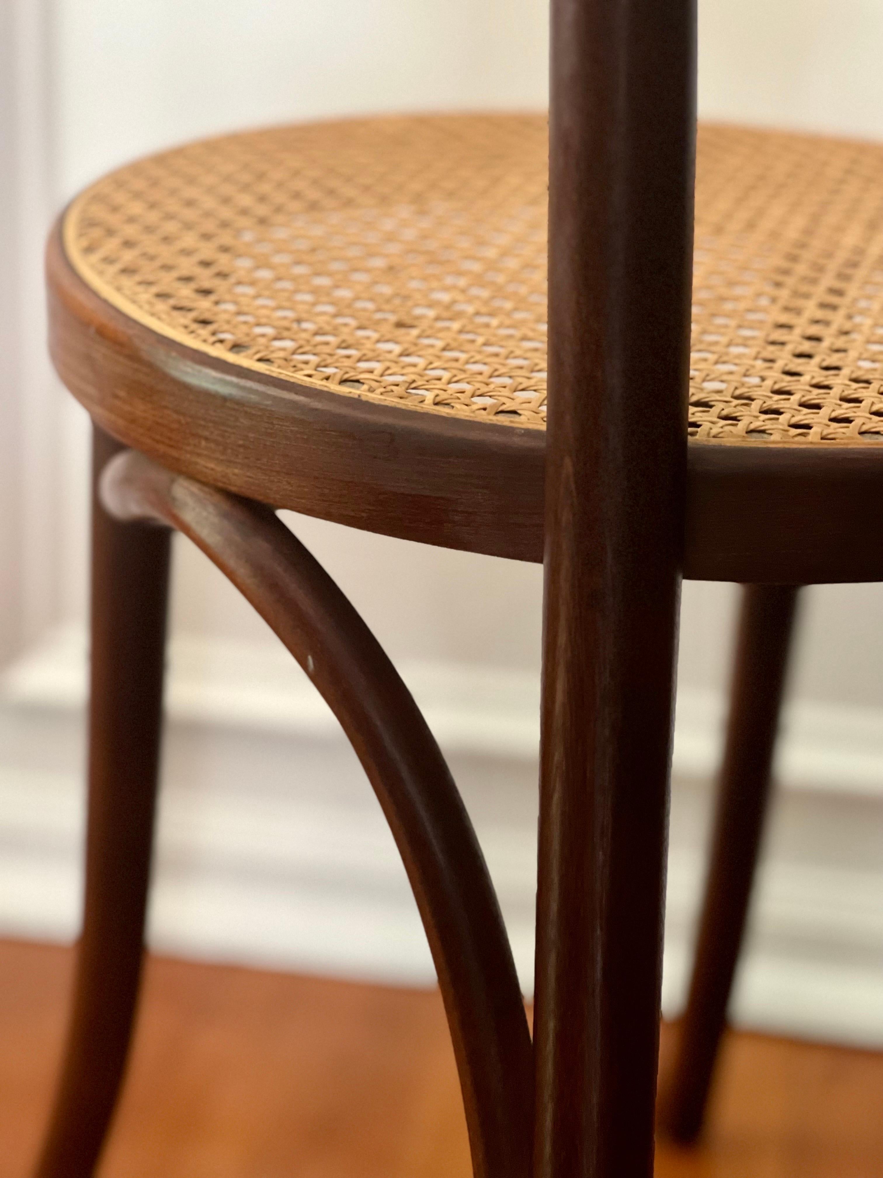 Thonet Bentwood Cane Bistro or Side Chair, 1920's For Sale 2