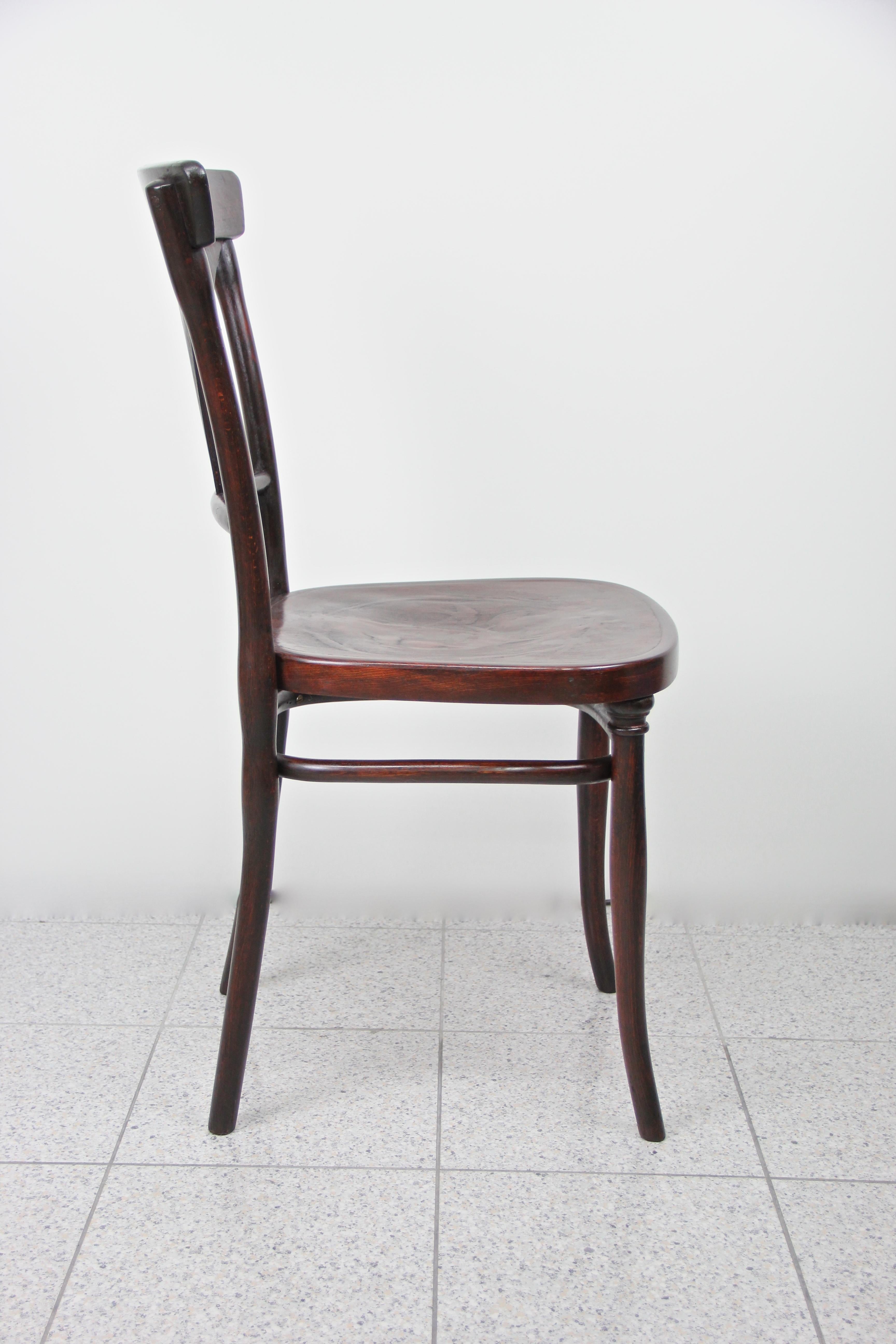 Austrian Thonet Bentwood Chair No. 221 Special Edition Mahogany Look, Austria, circa 1910