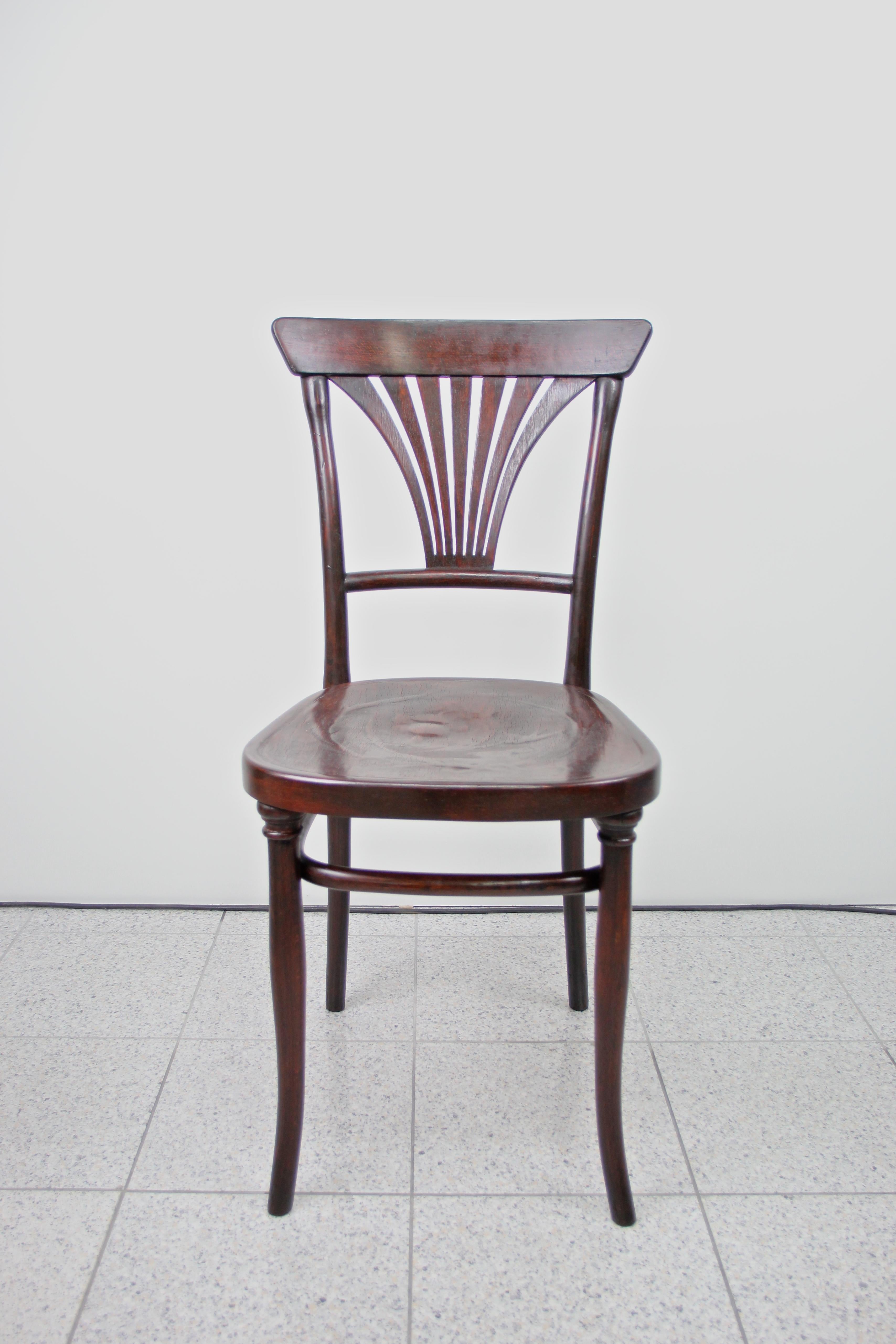 Embossed Thonet Bentwood Chair No. 221 Special Edition Mahogany Look, Austria, circa 1910