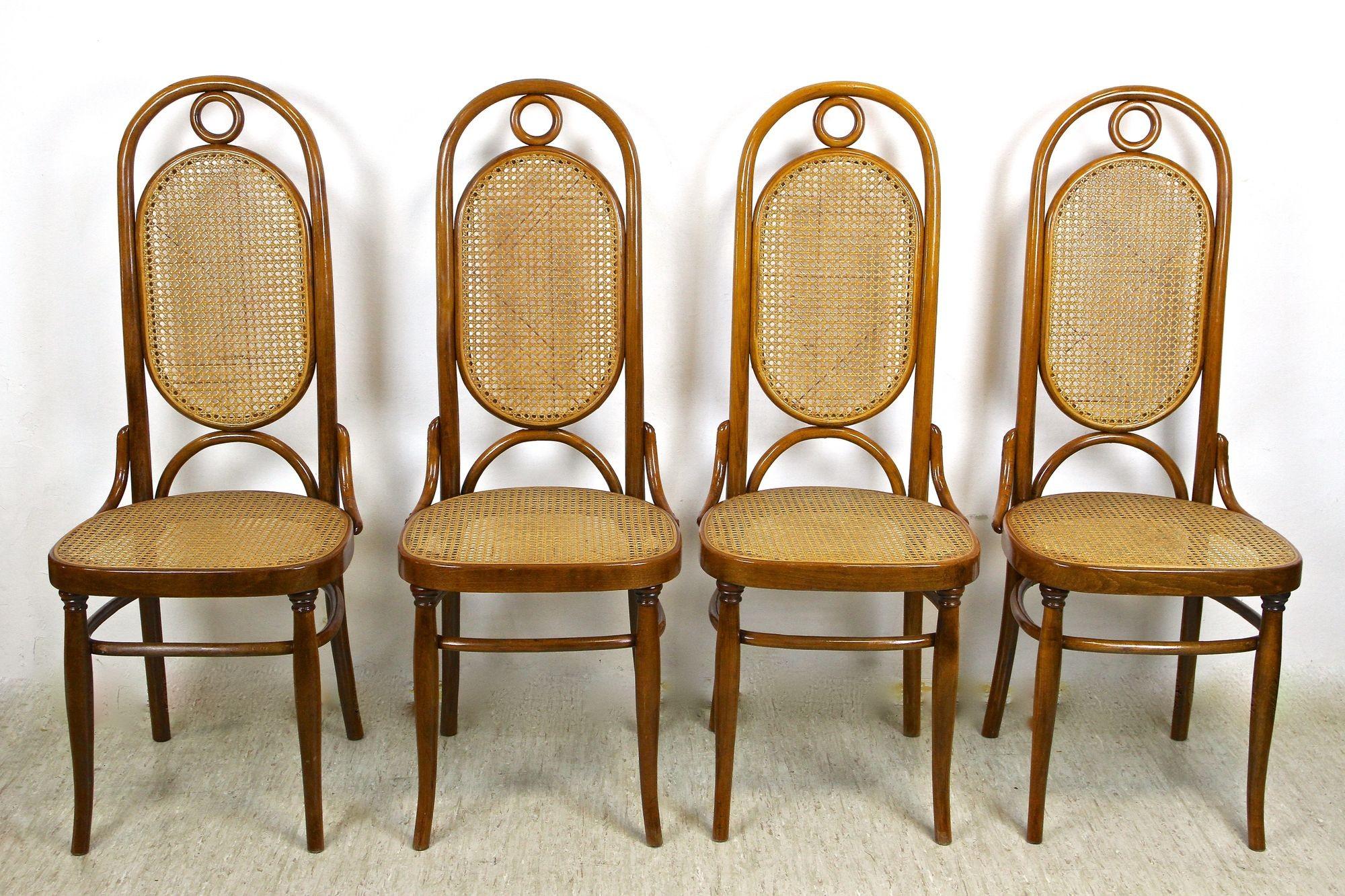Chaises en bois cintré Thonet avec table, ensemble de sièges Art Nouveau, Autriche, vers 1915 en vente 9