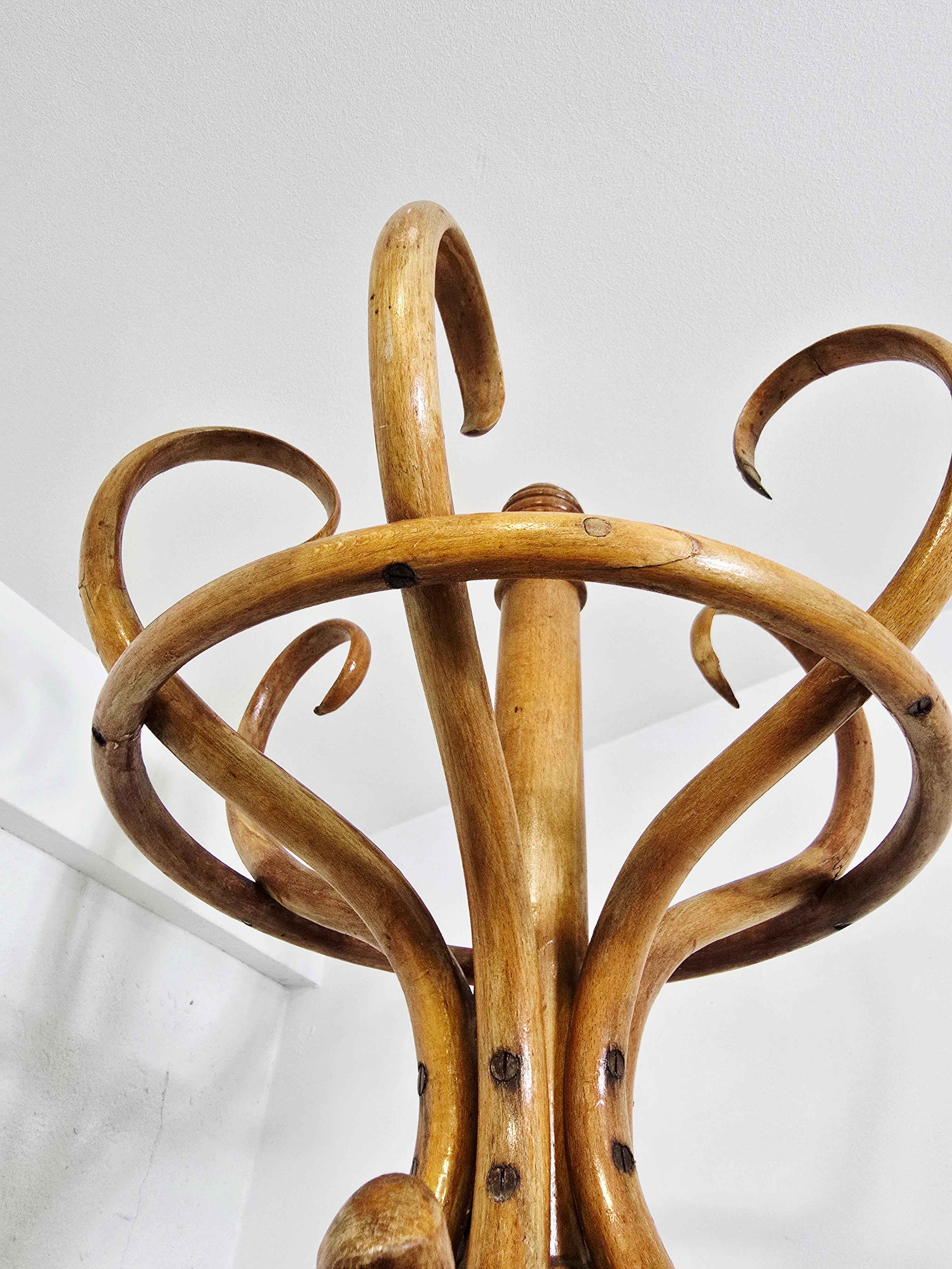 Thonet Mantel- und Hutständer aus Bugholz im Angebot 6