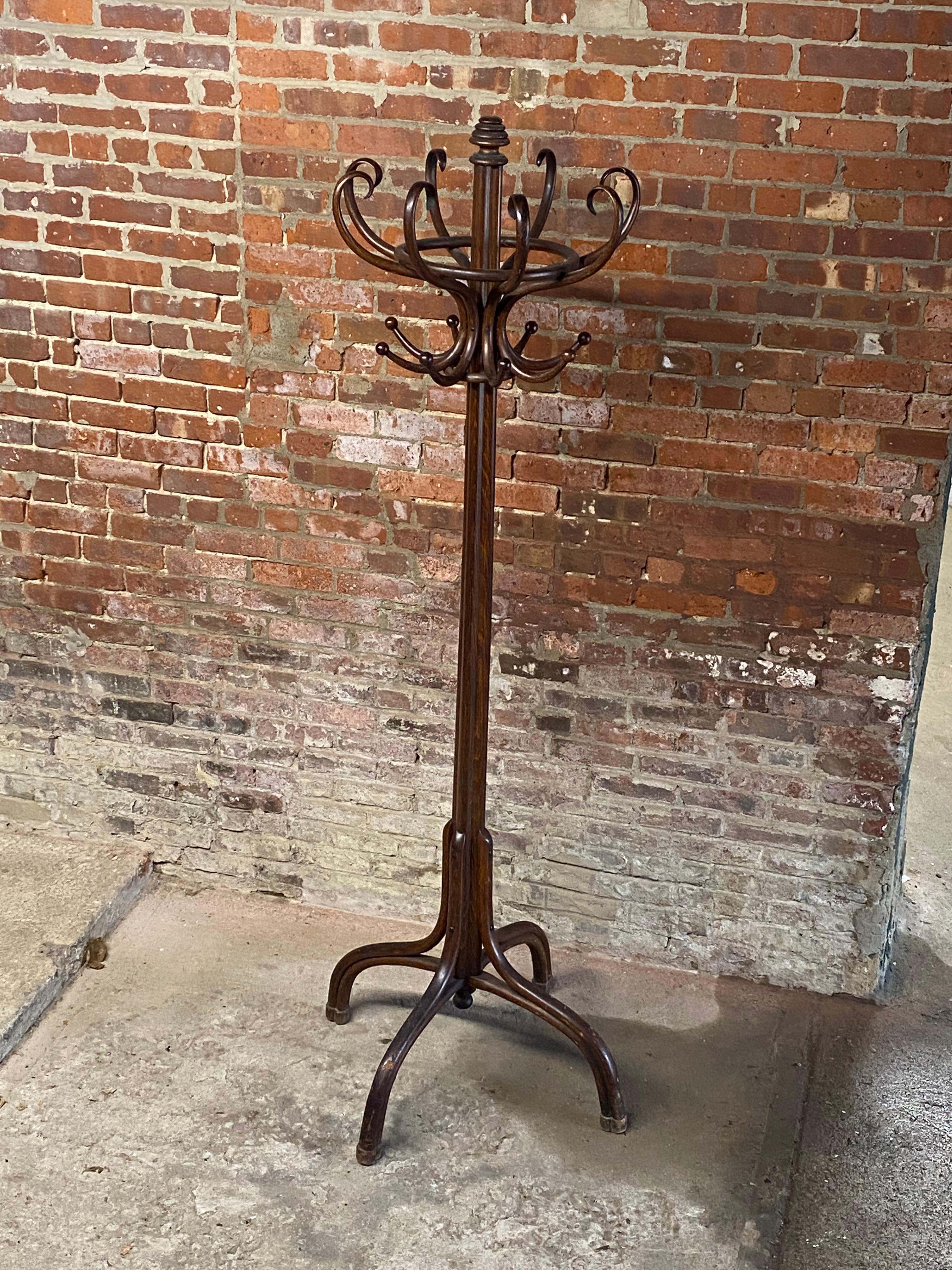 Dramatic and beautiful Thonet bentwood hall tree. Michael Thonet's innovative design and manipulation of wood through heat, moisture and pressure bending the wood into marvelous shapes and forms. Usually Thonet used Ash or Beech for his much coveted