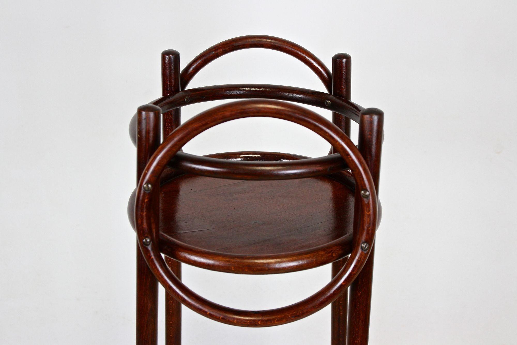 Autrichien Piédestal / support à plantes en bois cintré Thonet, Autriche, vers 1905 en vente