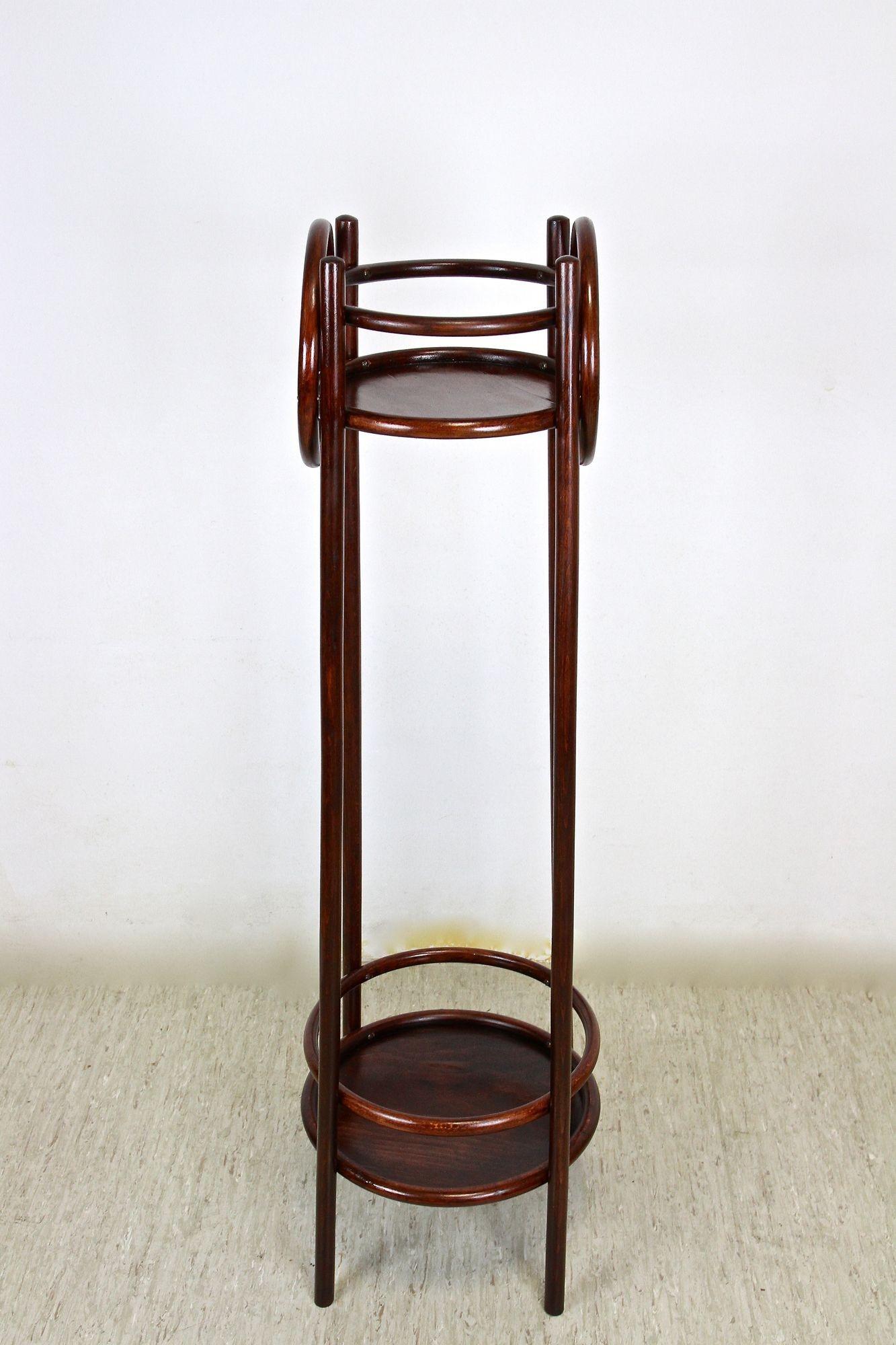 Pedestal/plantero Thonet de madera curvada, Austria circa 1905 Pulido en venta