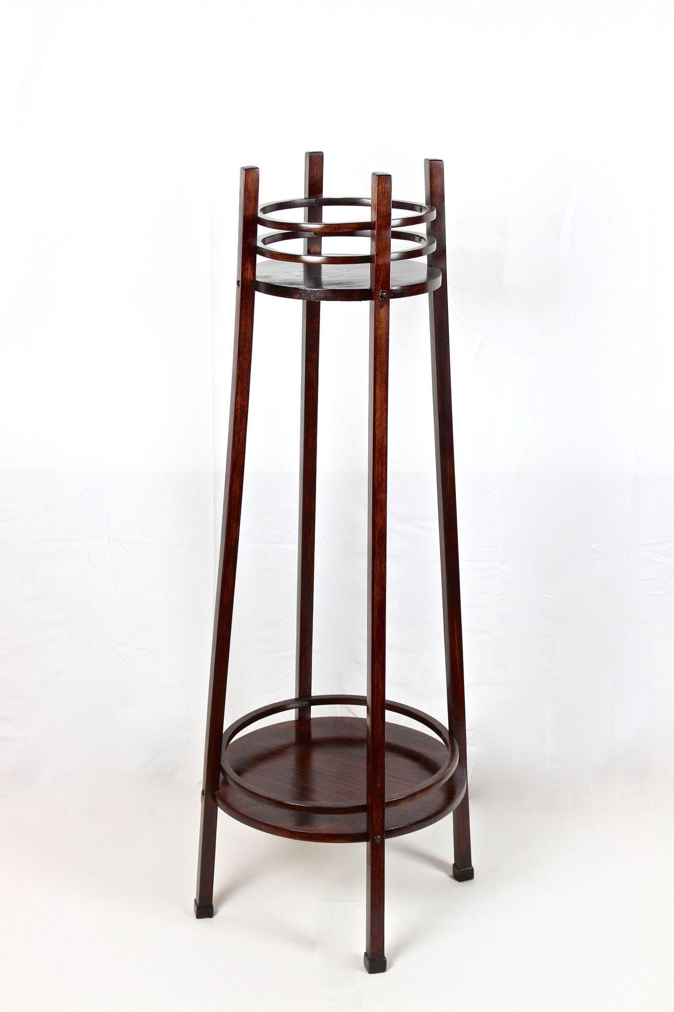 Awesome Art Nouveau bentwood pedestal from the renowned company of Thonet Vienna around 1906. This outstanding designed flower stand Mod.Nr. 9531 provides two round levels, connected by four slim elegant beechwood columns. The upper section is